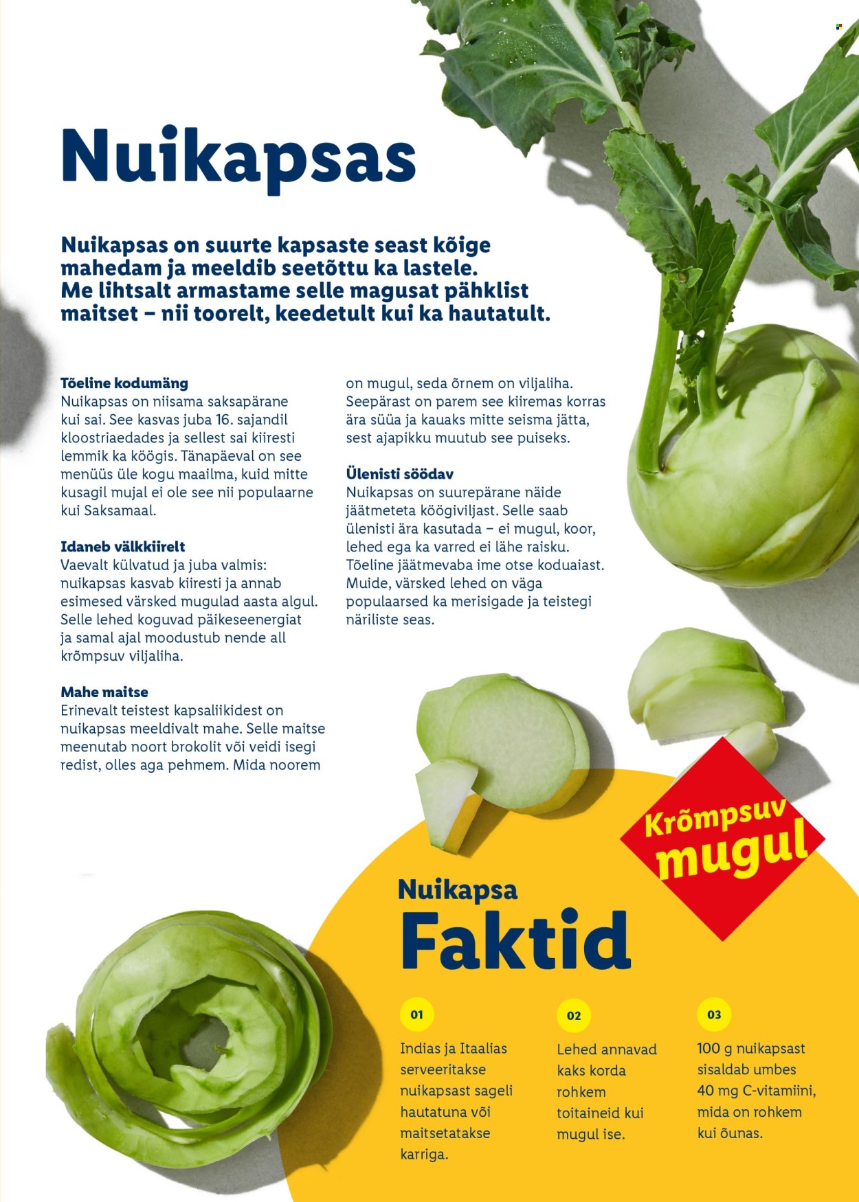 lidl - Lidl kliendileht - Rõõmu täis lihavõtted - page: 69