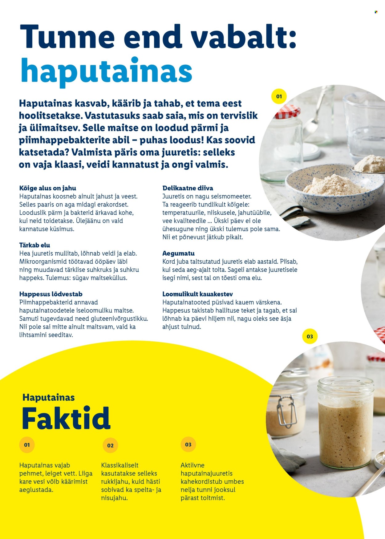 lidl - Lidl kliendileht - Rõõmu täis lihavõtted - page: 36