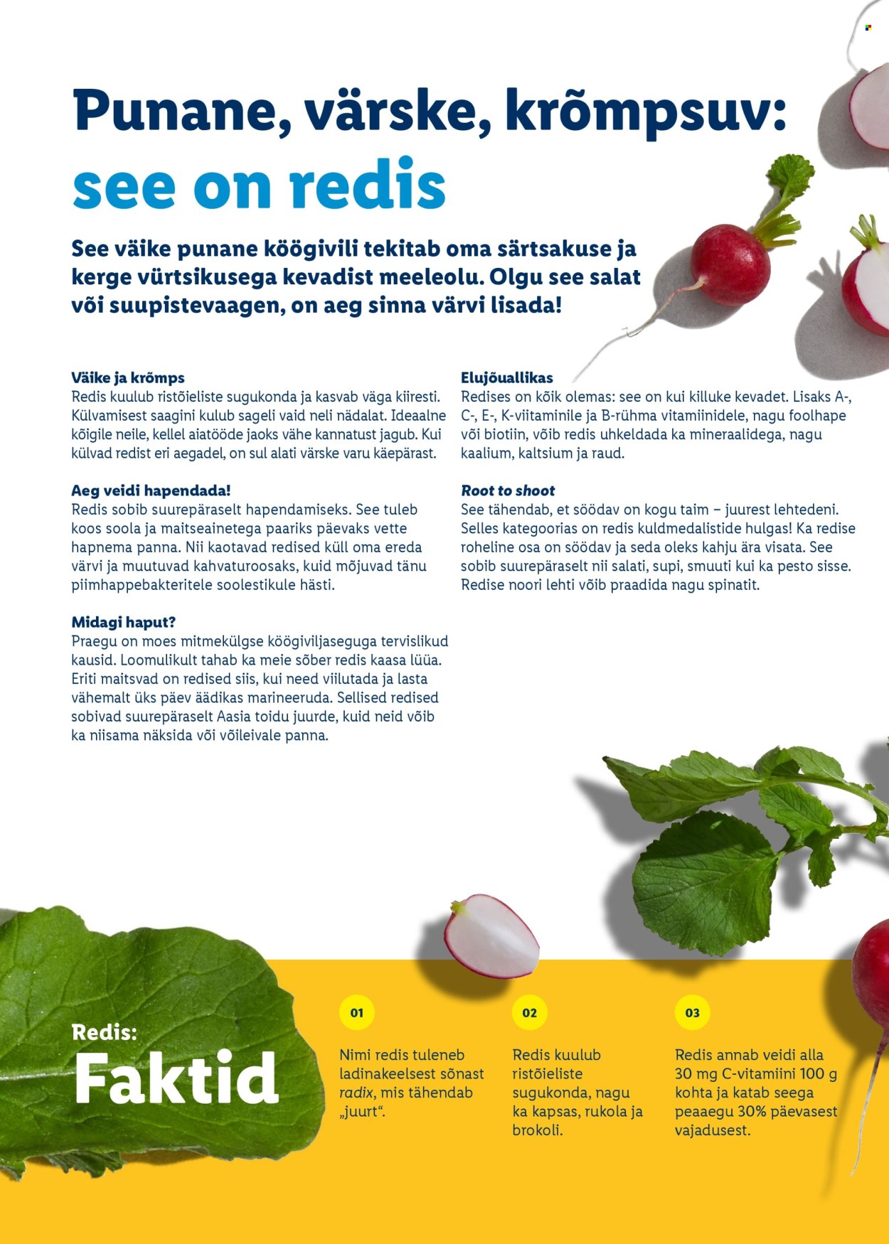 lidl - Lidl kliendileht - Rõõmu täis lihavõtted - page: 34