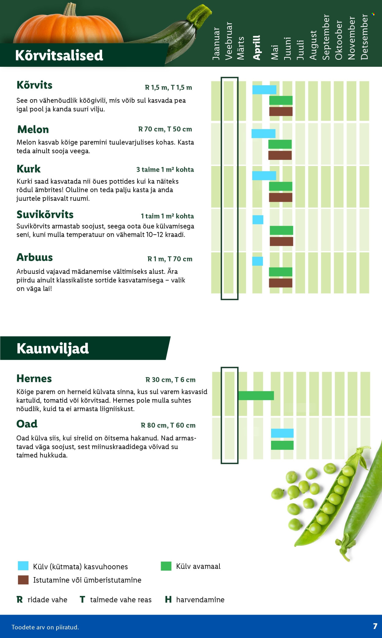 lidl - Lidl kliendileht - Aiakataloog Alates - page: 7