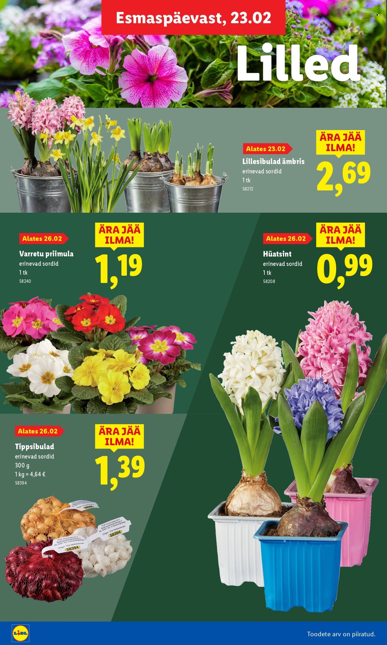 lidl - Lidl kliendileht - Aiakataloog Alates - page: 16
