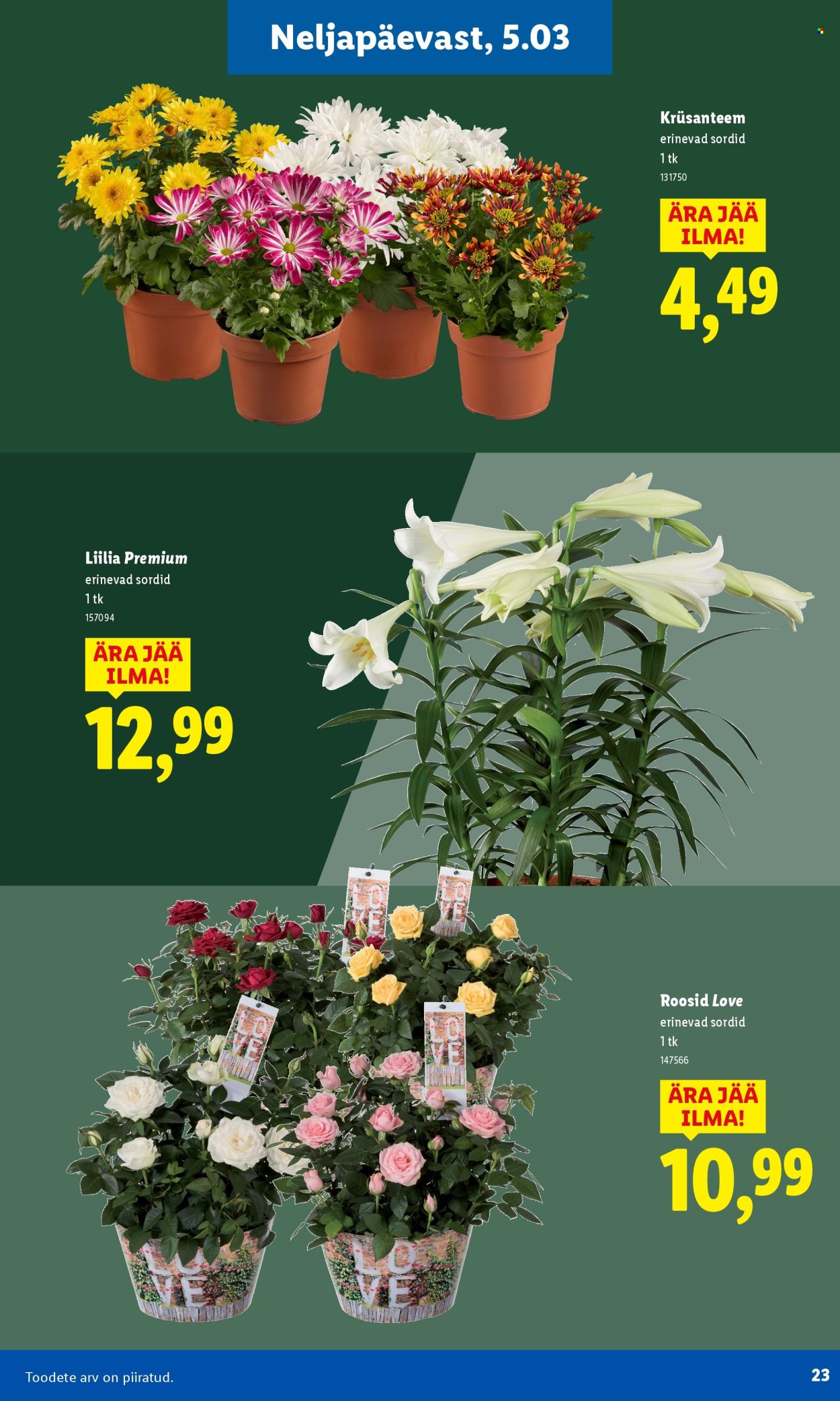 lidl - Lidl kliendileht - Aiakataloog Alates - page: 23