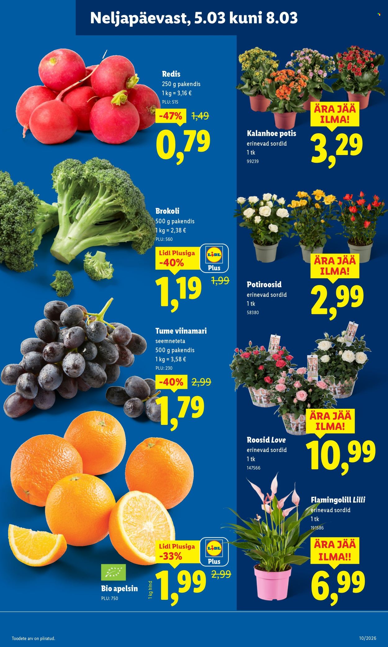 lidl - Lidl kliendileht - Kliendileht (2.03 - 8.03.2026) - page: 35