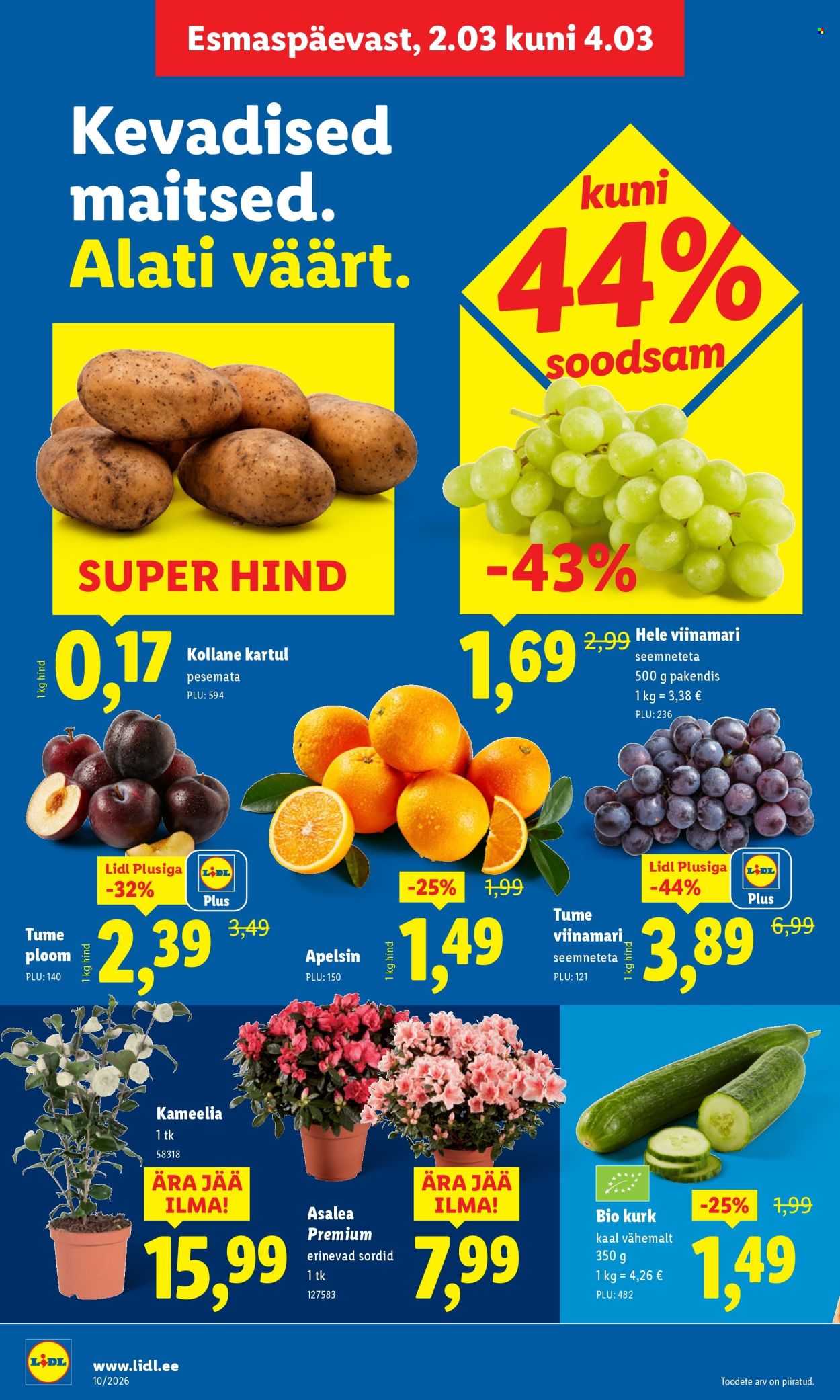 lidl - Lidl kliendileht - Kliendileht (2.03 - 8.03.2026) - page: 4