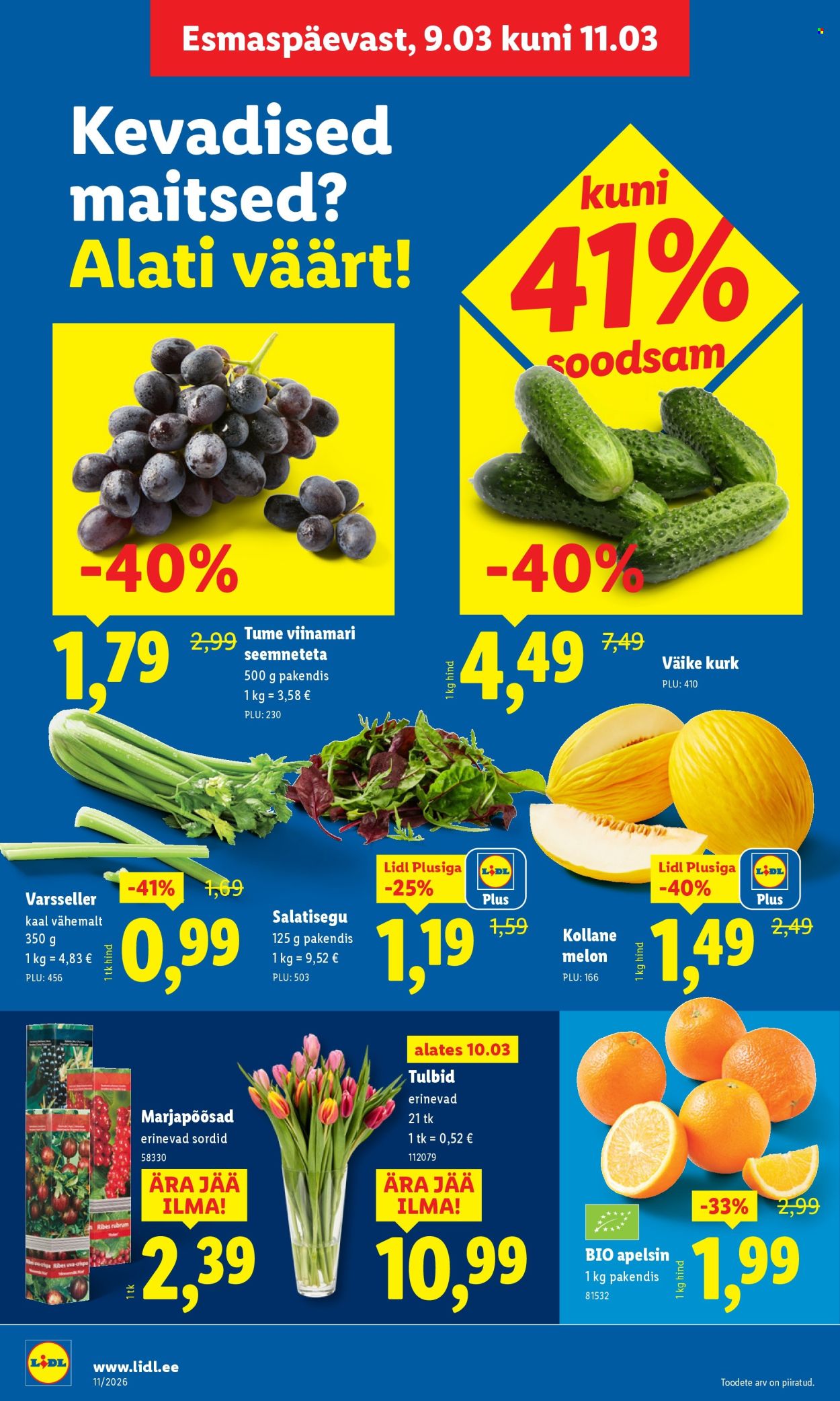 lidl - Lidl kliendileht - Kliendileht (9.03 - 15.03.2026) - page: 4