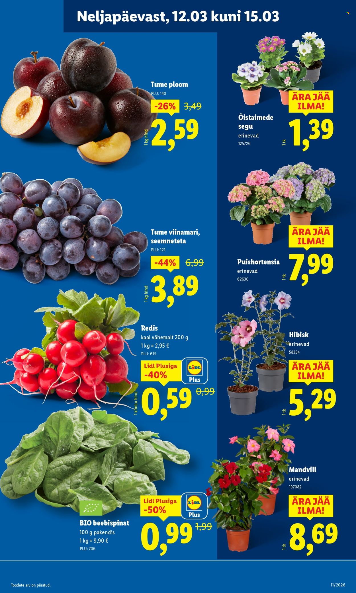 lidl - Lidl kliendileht - Kliendileht (9.03 - 15.03.2026) - page: 29