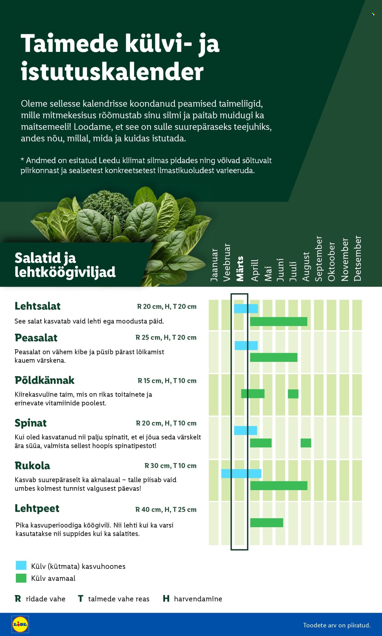 lidl - Lidl kliendileht - Aiakataloog - page: 4