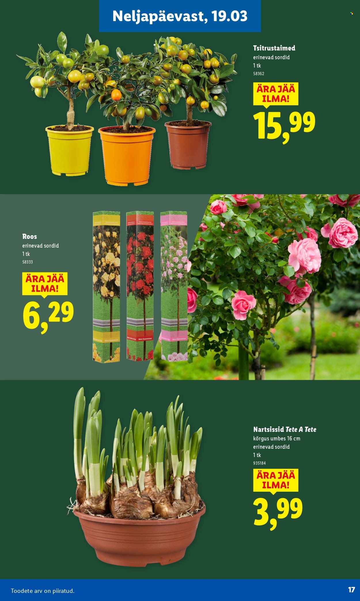lidl - Lidl kliendileht - Aiakataloog - page: 17