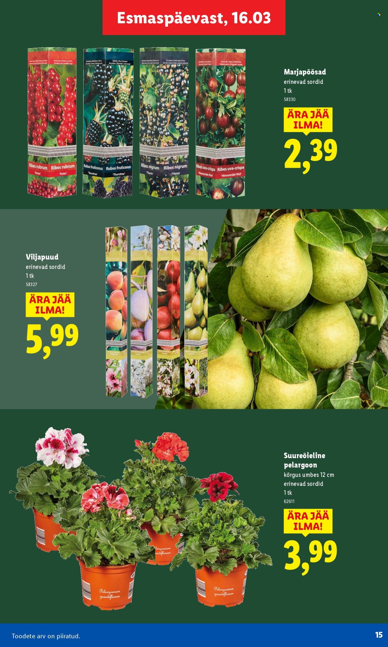 lidl - Lidl kliendileht - Aiakataloog - page: 15