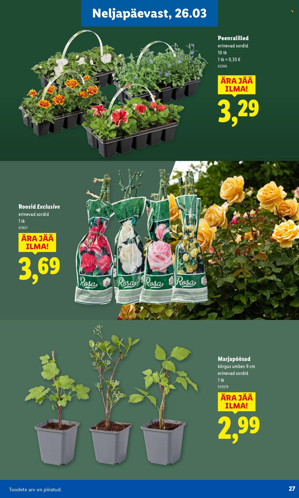 lidl - Lidl kliendileht - Aiakataloog - page: 27