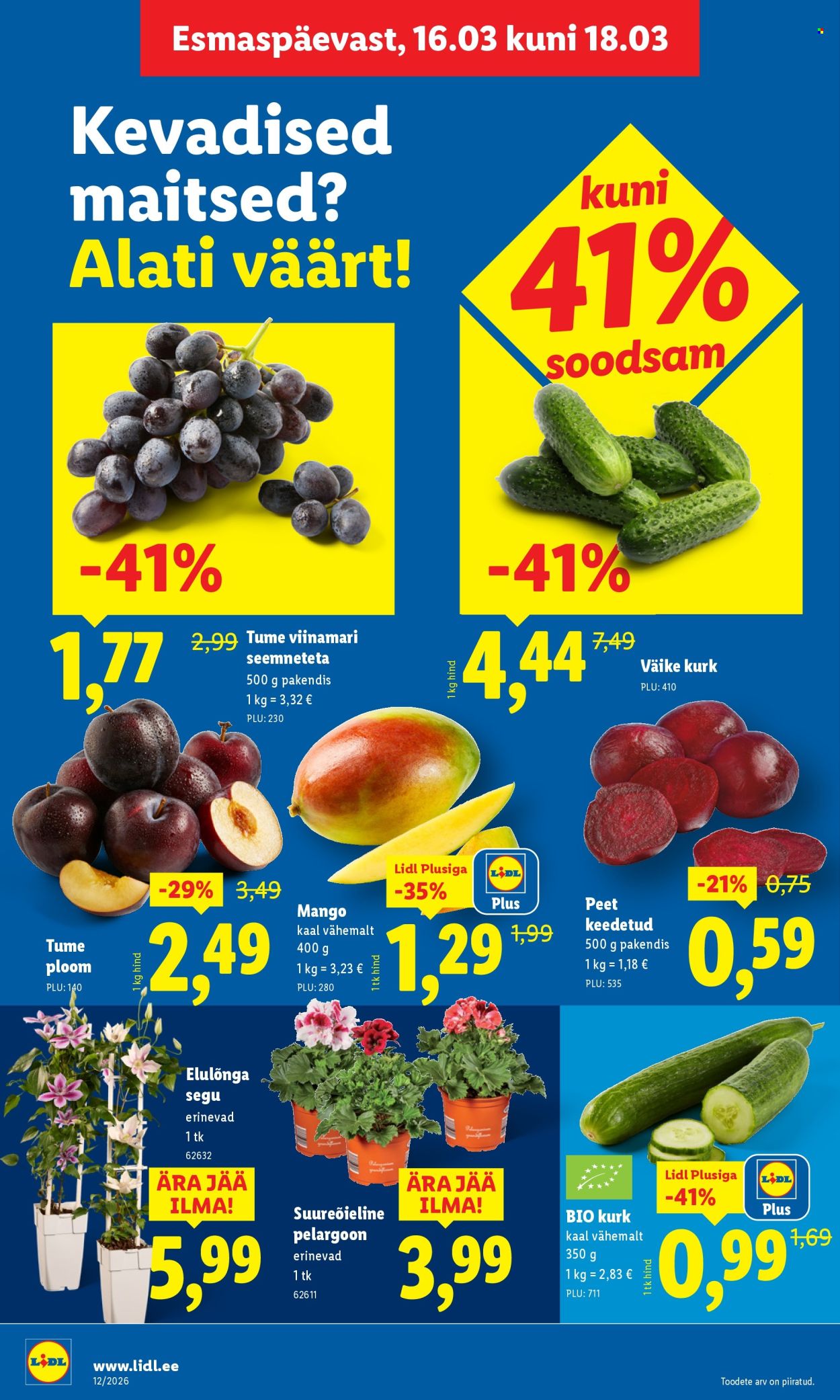 lidl - Lidl kliendileht - Kliendileht (16.03 - 22.03.2026) - page: 4