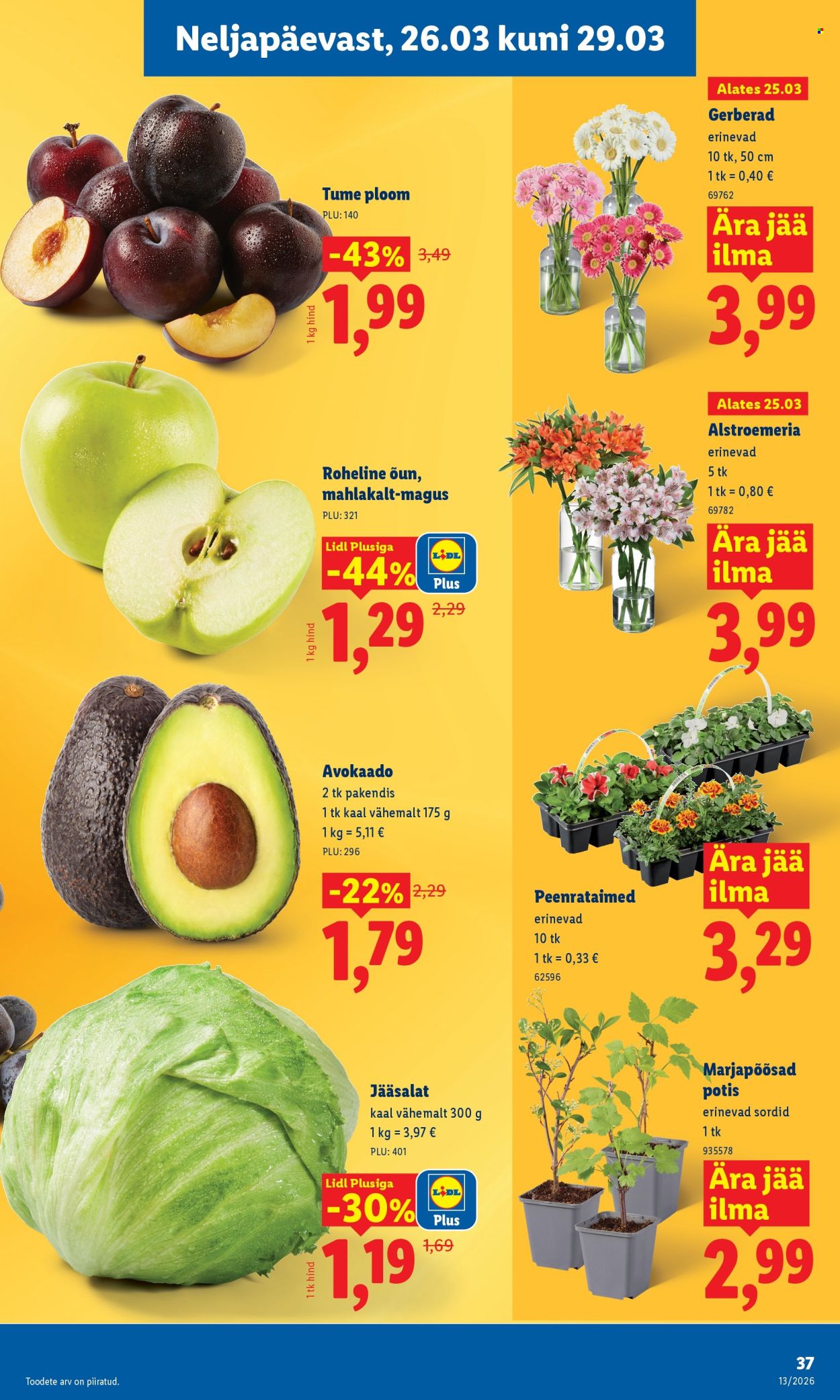 lidl - Lidl kliendileht - Kliendileht (23.03 - 29.03.2026) - page: 35