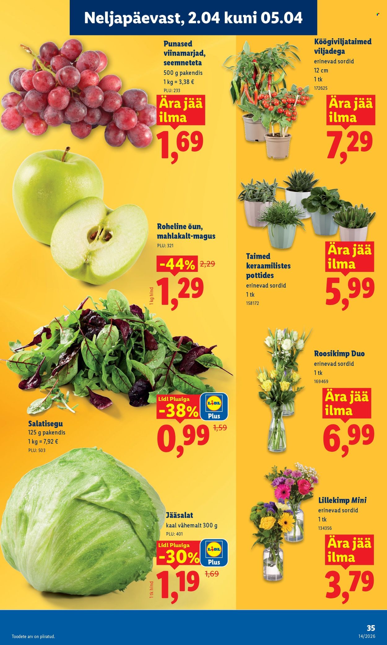lidl - Lidl kliendileht - Kliendileht (30.03 - 5.04.2026) - page: 31