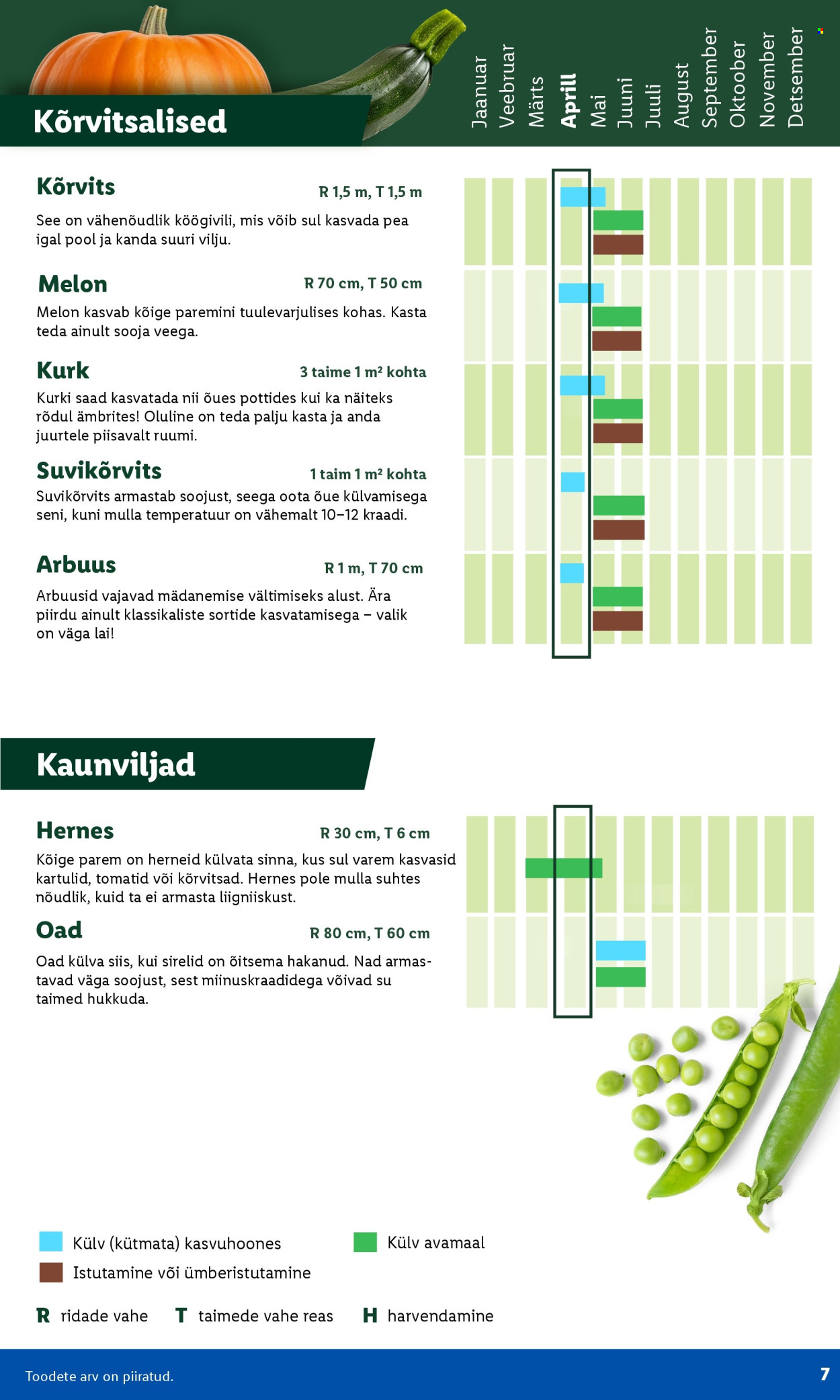 lidl - Lidl kliendileht - Aiakataloog Alates - page: 7
