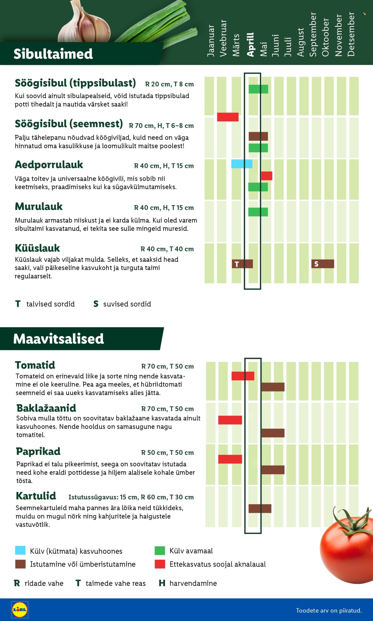 lidl - Lidl kliendileht - Aiakataloog Alates - page: 6