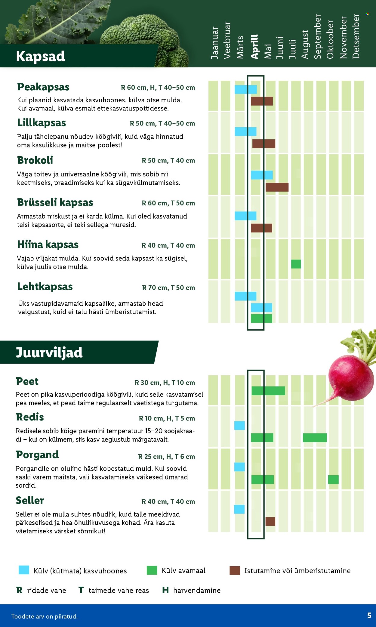 lidl - Lidl kliendileht - Aiakataloog Alates - page: 5