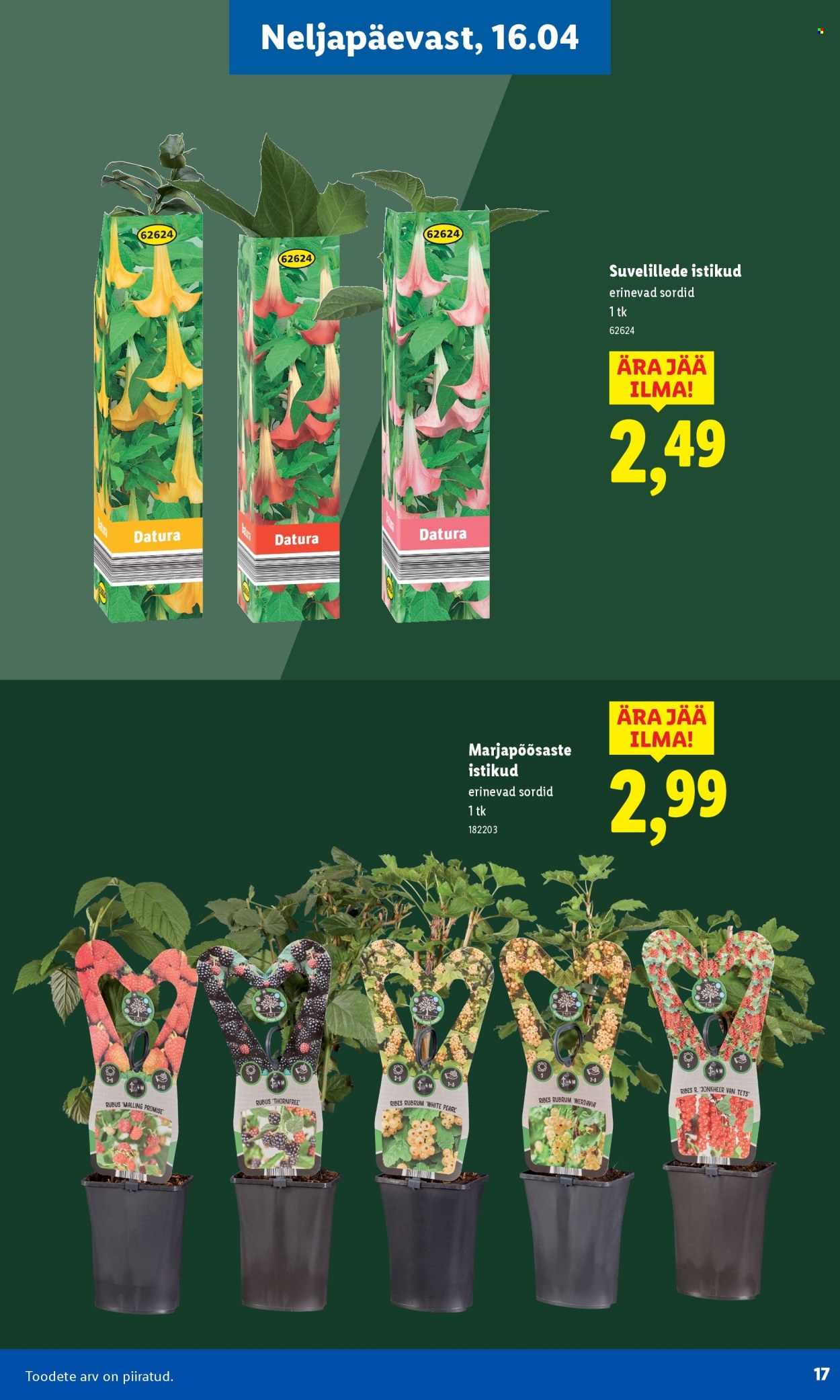 lidl - Lidl kliendileht - Aiakataloog Alates - page: 17