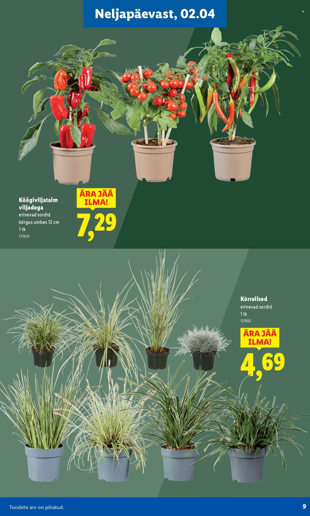 lidl - Lidl kliendileht - Aiakataloog Alates - page: 9