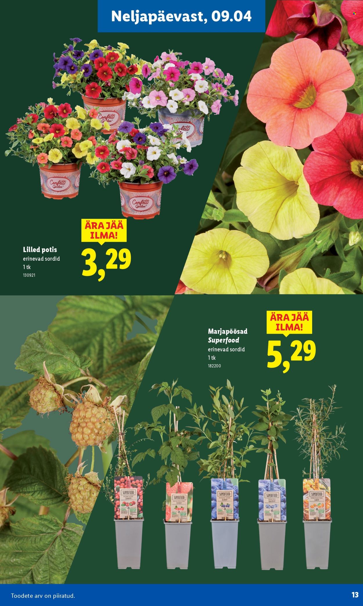 lidl - Lidl kliendileht - Aiakataloog Alates - page: 13