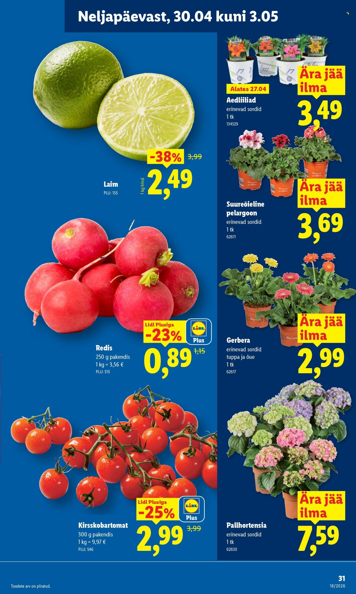 lidl - Lidl kliendileht - Kliendileht (27.04 - 3.05.2026) - page: 31