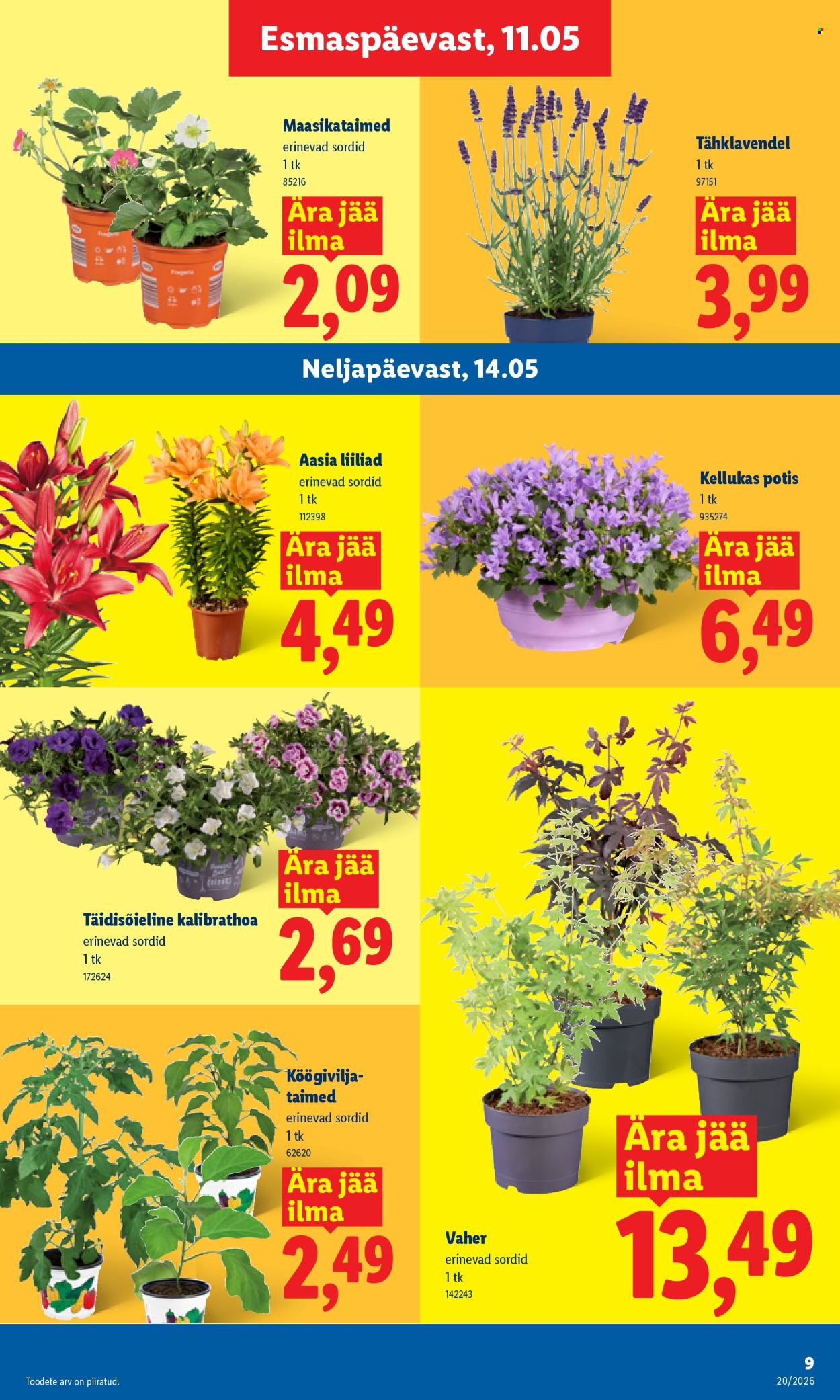 lidl - Lidl kliendileht - Kliendileht (11.05 - 17.05.2026) - page: 9