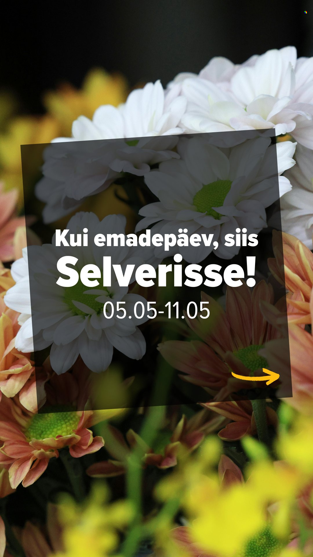 selver - Selver kliendileht - Nädala parim hind (5.05 - 11.05.2026)