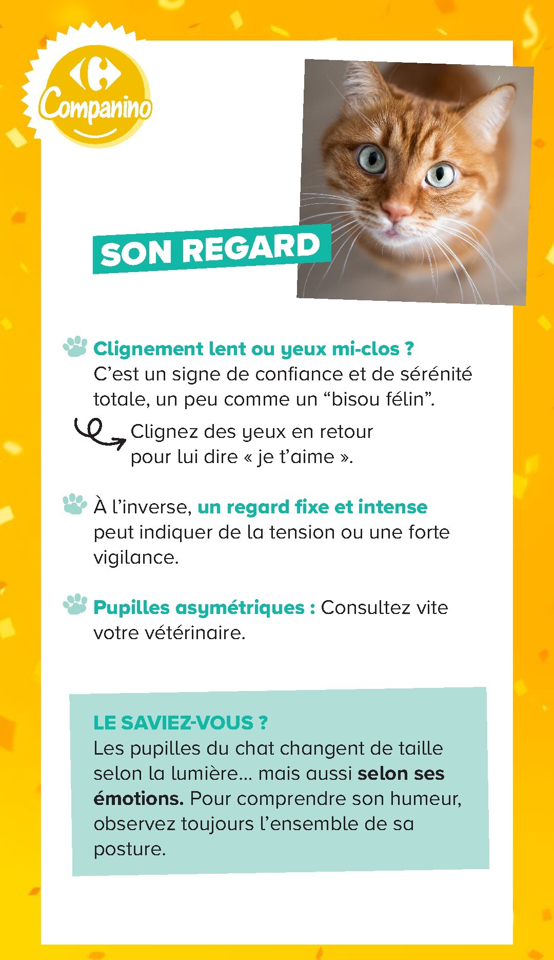 carrefour - Current Carrefour - Découvrez LA Marque Carrefour Companino leaflet valid from du mardi 04/08/2026 to du lundi 07/09/2026 - page: 15