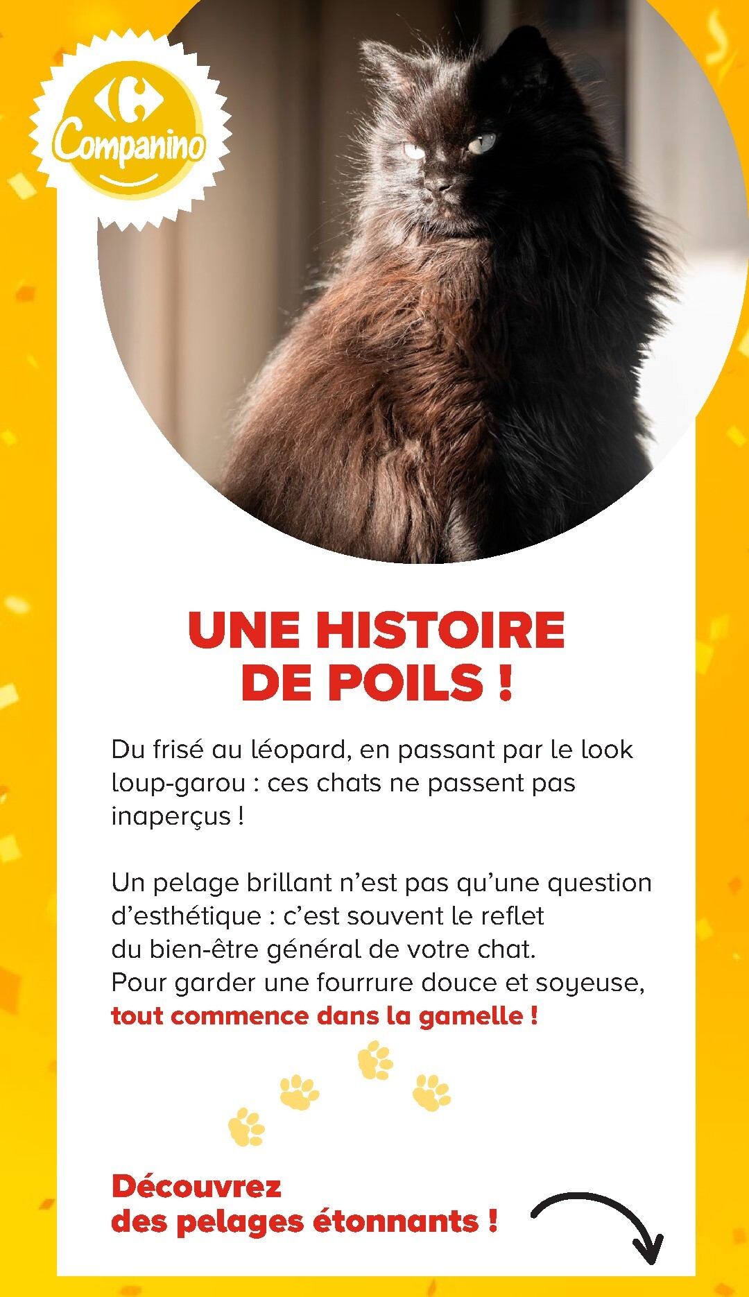 carrefour - Current Carrefour - Découvrez LA Marque Carrefour Companino leaflet valid from du mardi 04/08/2026 to du lundi 07/09/2026 - page: 17