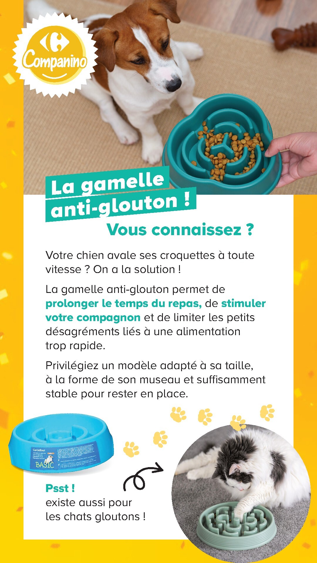 carrefour - Current Carrefour - Découvrez LA Marque Carrefour Companino leaflet valid from du mardi 04/08/2026 to du lundi 07/09/2026 - page: 21