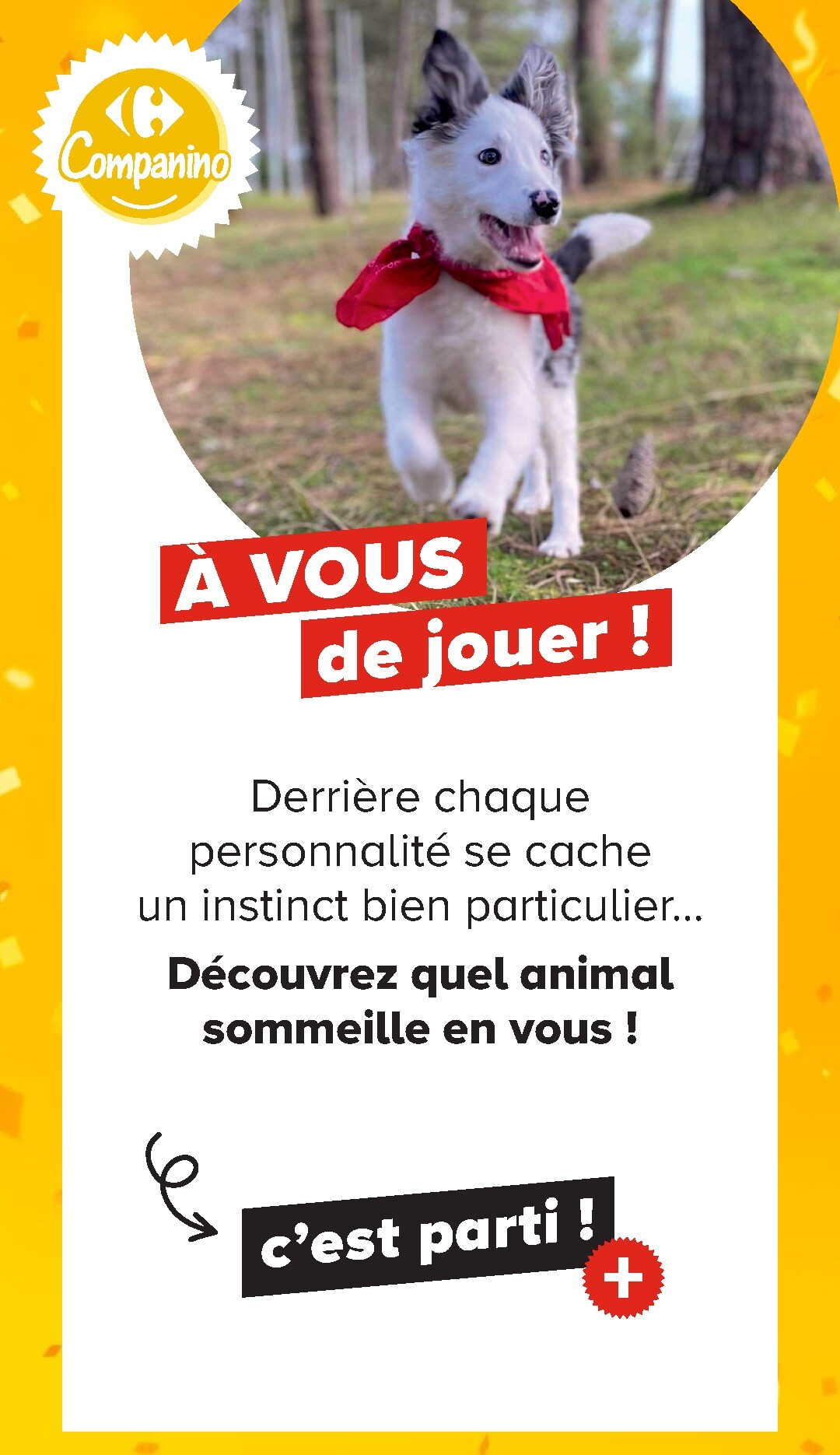 carrefour - Current Carrefour - Découvrez LA Marque Carrefour Companino leaflet valid from du mardi 04/08/2026 to du lundi 07/09/2026 - page: 28