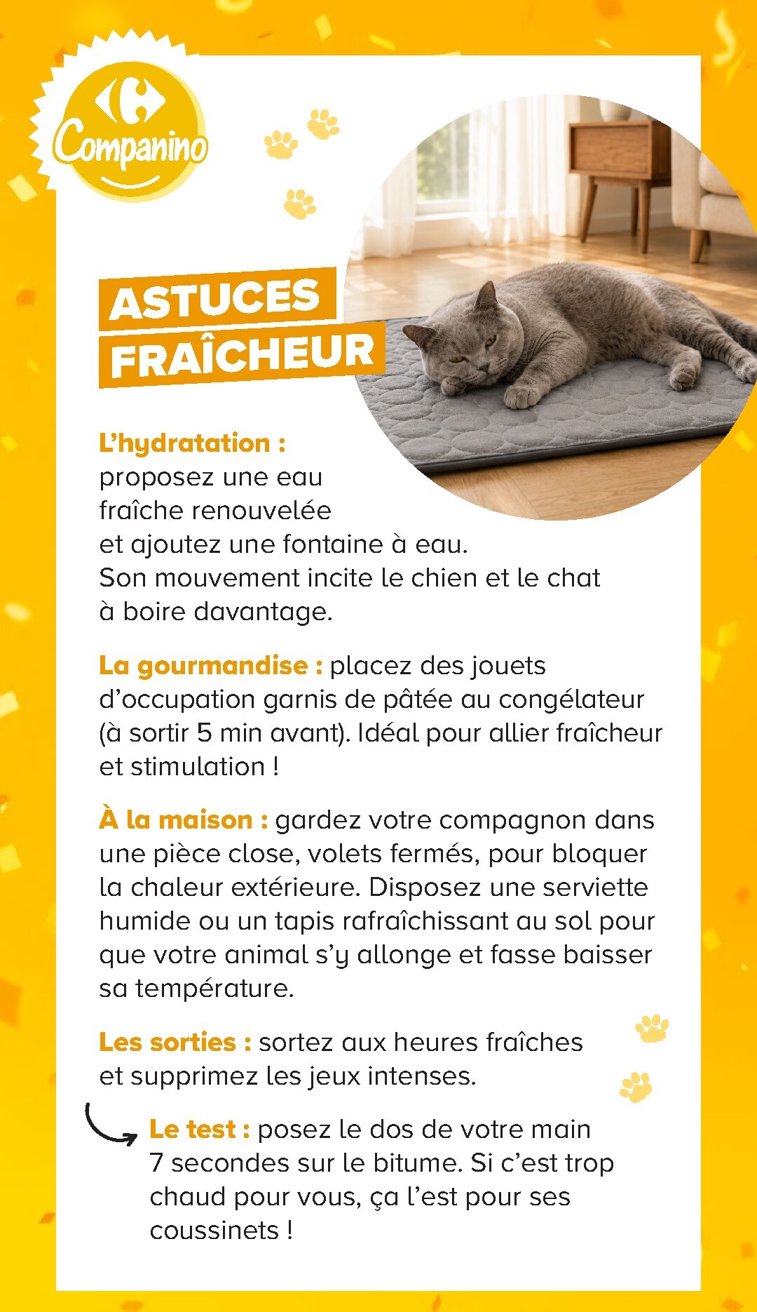 carrefour - Current Carrefour - Découvrez LA Marque Carrefour Companino leaflet valid from du mardi 04/08/2026 to du lundi 07/09/2026 - page: 24
