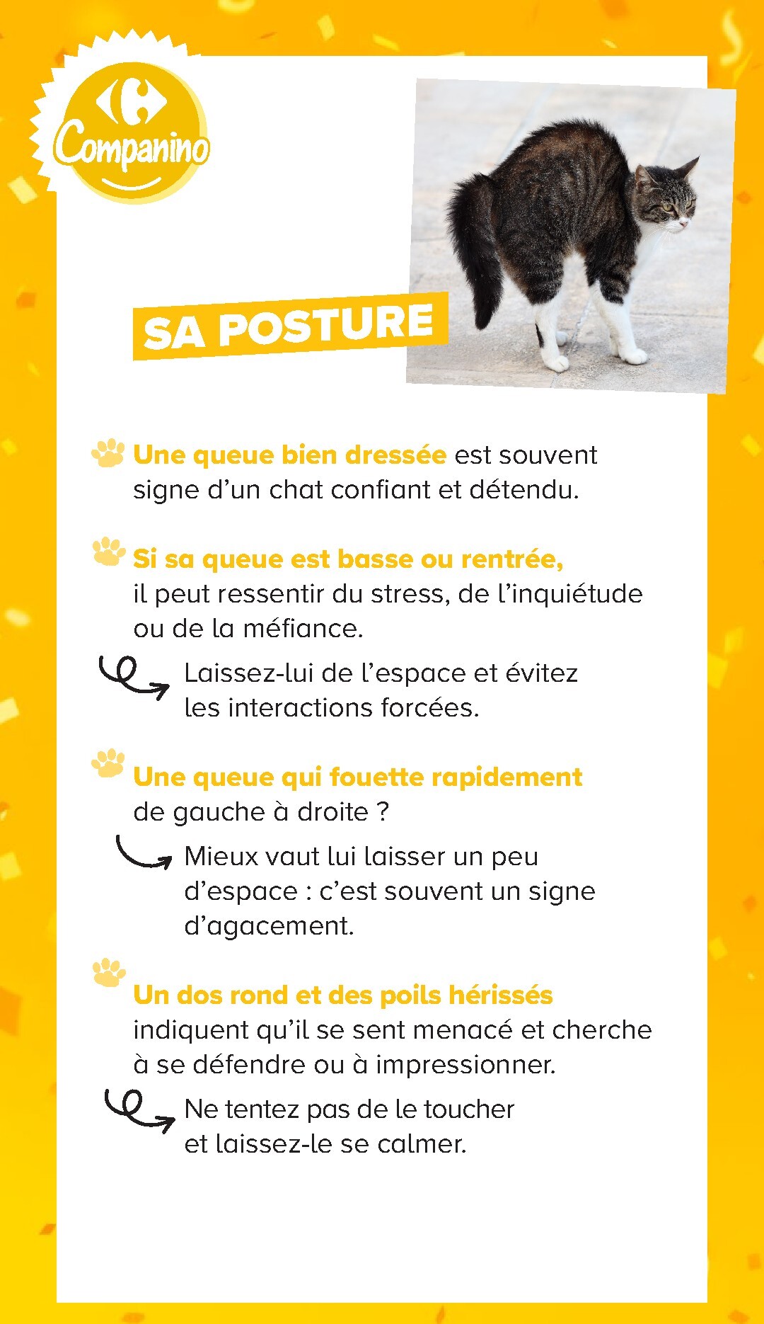 carrefour - Current Carrefour - Découvrez LA Marque Carrefour Companino leaflet valid from du mardi 04/08/2026 to du lundi 07/09/2026 - page: 14