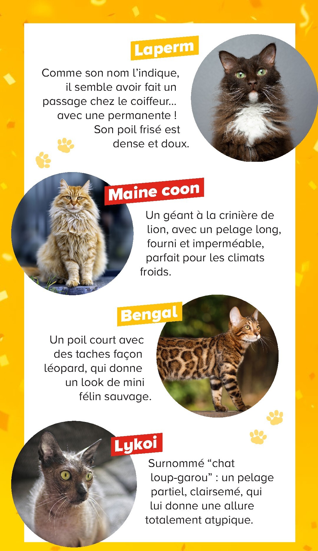 carrefour - Current Carrefour - Découvrez LA Marque Carrefour Companino leaflet valid from du mardi 04/08/2026 to du lundi 07/09/2026 - page: 18