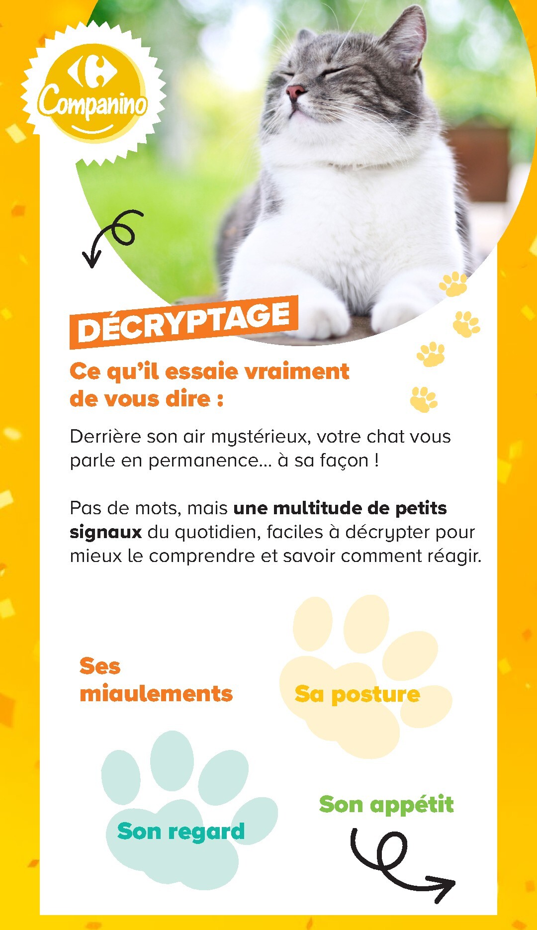 carrefour - Current Carrefour - Découvrez LA Marque Carrefour Companino leaflet valid from du mardi 04/08/2026 to du lundi 07/09/2026 - page: 12