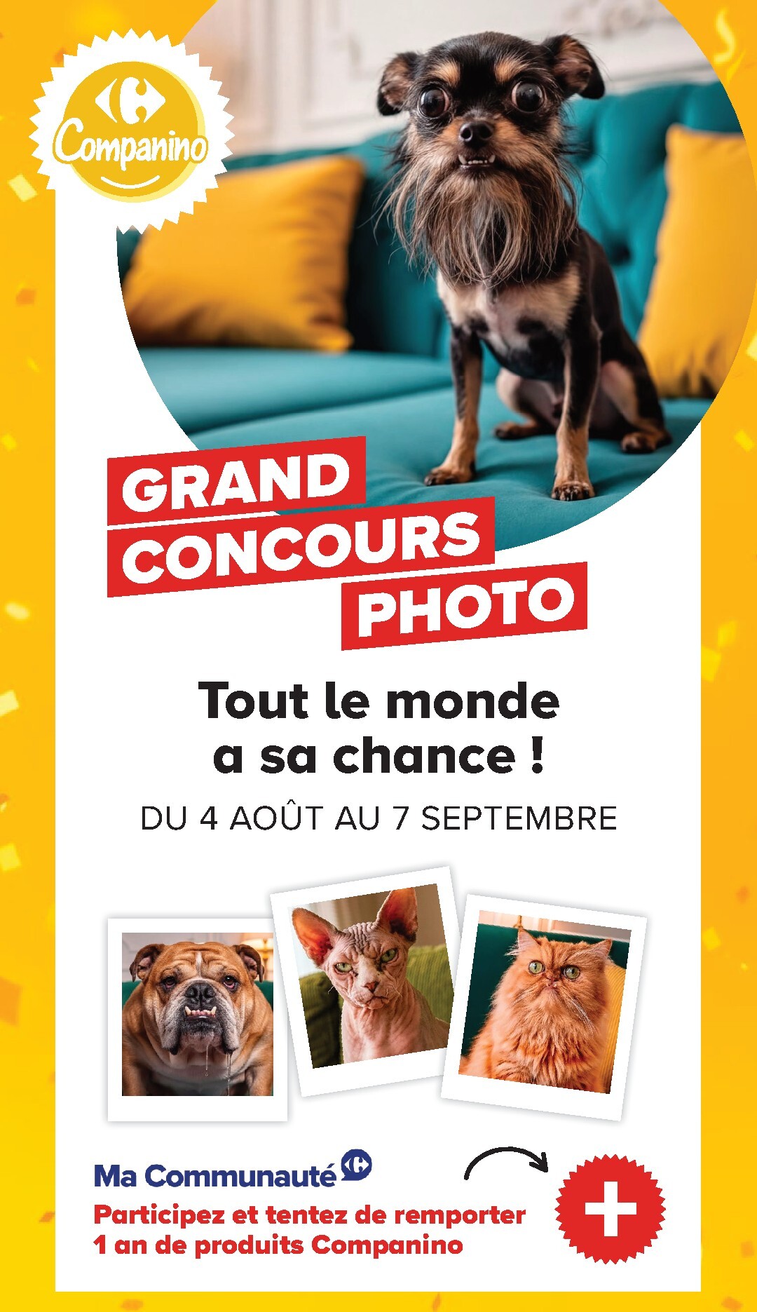 carrefour - Current Carrefour - Découvrez LA Marque Carrefour Companino leaflet valid from du mardi 04/08/2026 to du lundi 07/09/2026 - page: 26