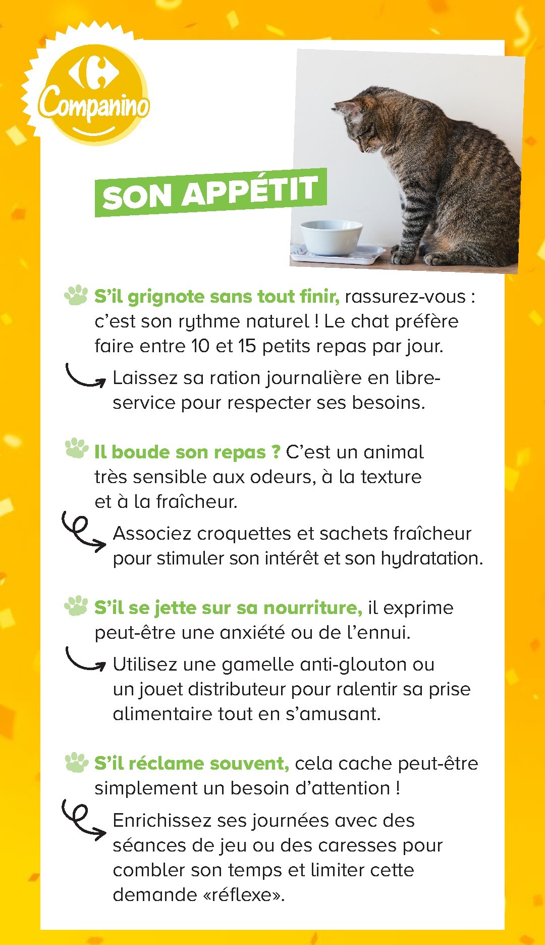 carrefour - Current Carrefour - Découvrez LA Marque Carrefour Companino leaflet valid from du mardi 04/08/2026 to du lundi 07/09/2026 - page: 16