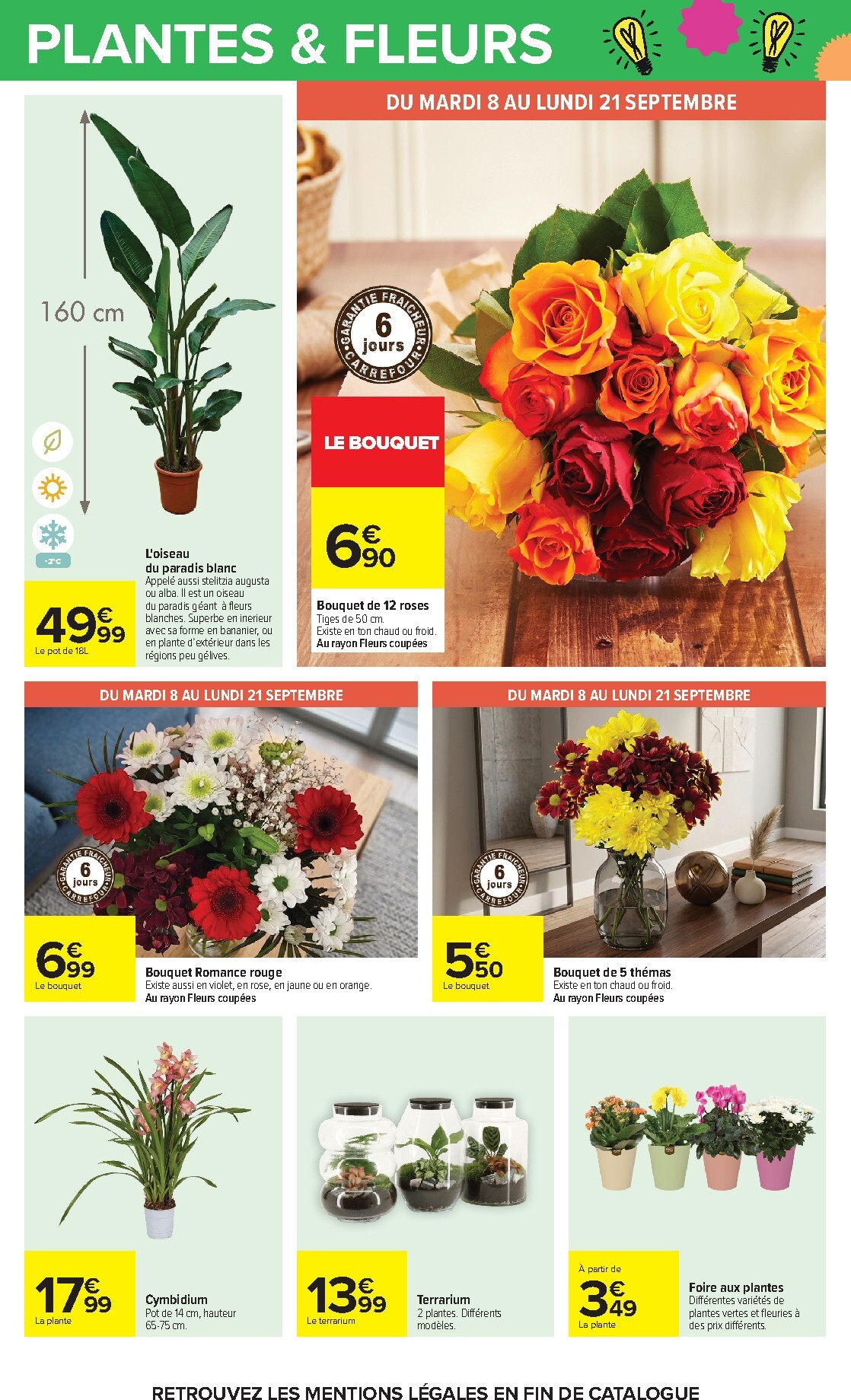 carrefour - Flyer Carrefour pour la semaine prochaine du du mardi 08/09/2026 au du lundi 21/09/2026 - page: 63