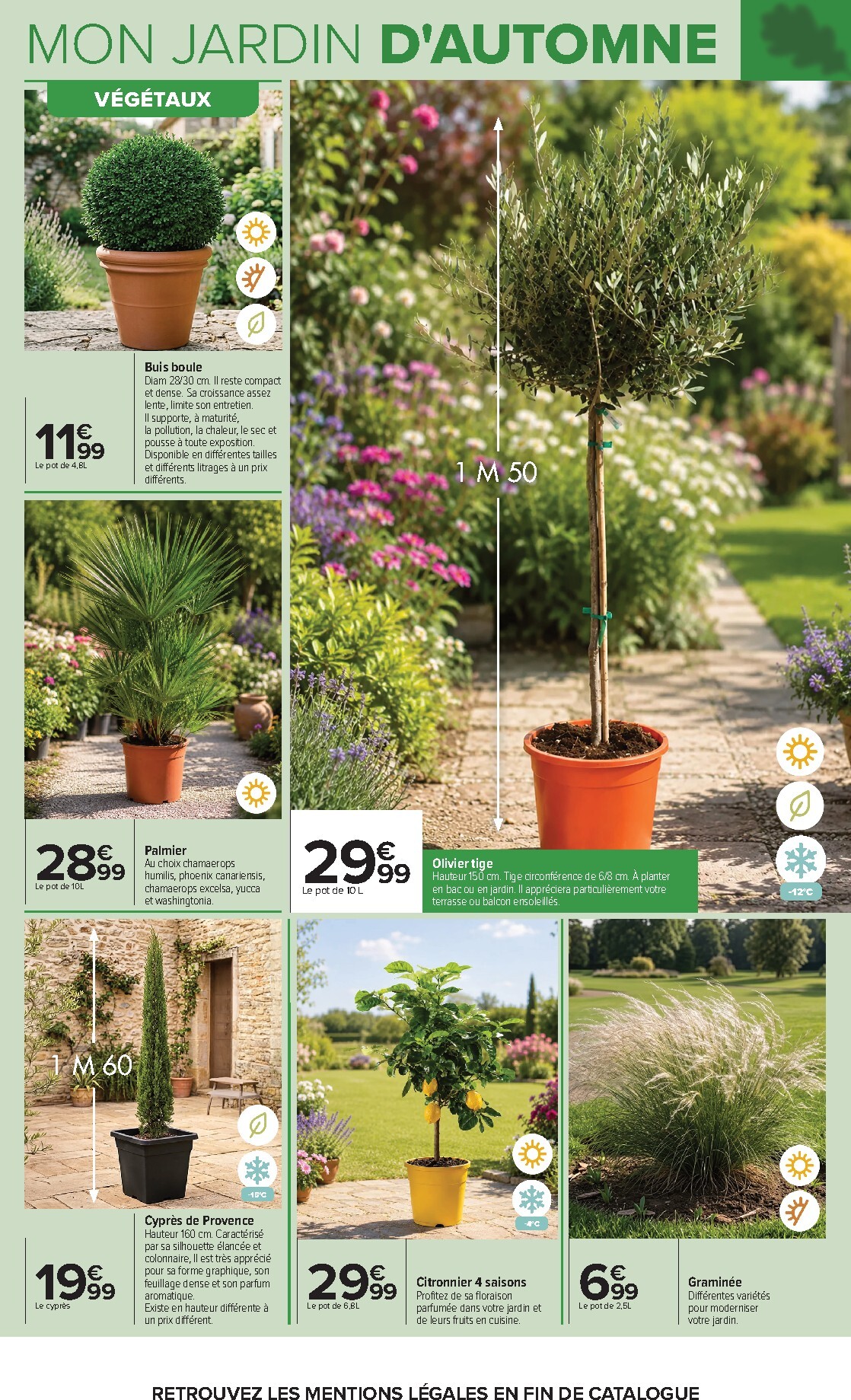 carrefour - Flyer Carrefour - Jardin Et Bricolage pour la semaine prochaine du du mardi 29/09/2026 au du lundi 12/10/2026 - page: 5