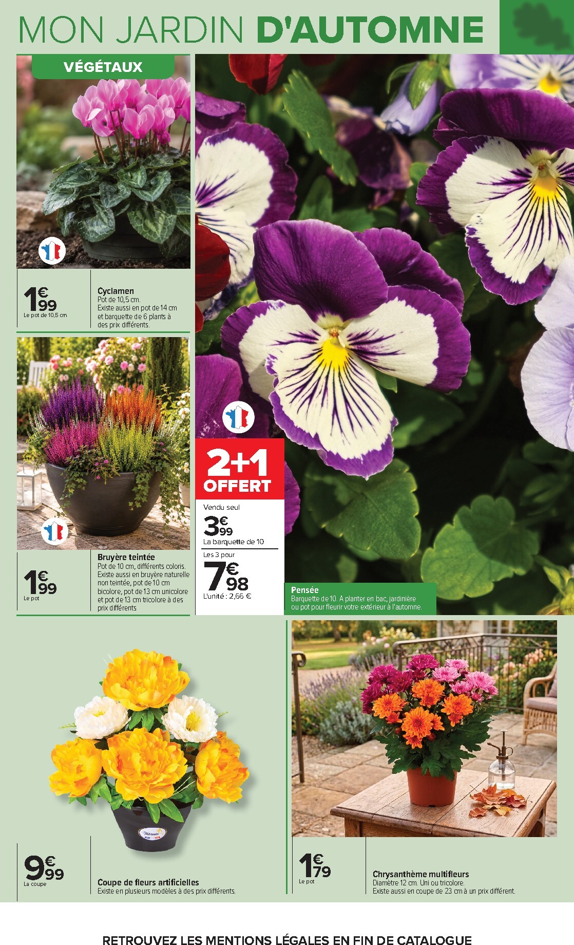 carrefour - Flyer Carrefour - Jardin Et Bricolage pour la semaine prochaine du du mardi 29/09/2026 au du lundi 12/10/2026 - page: 3