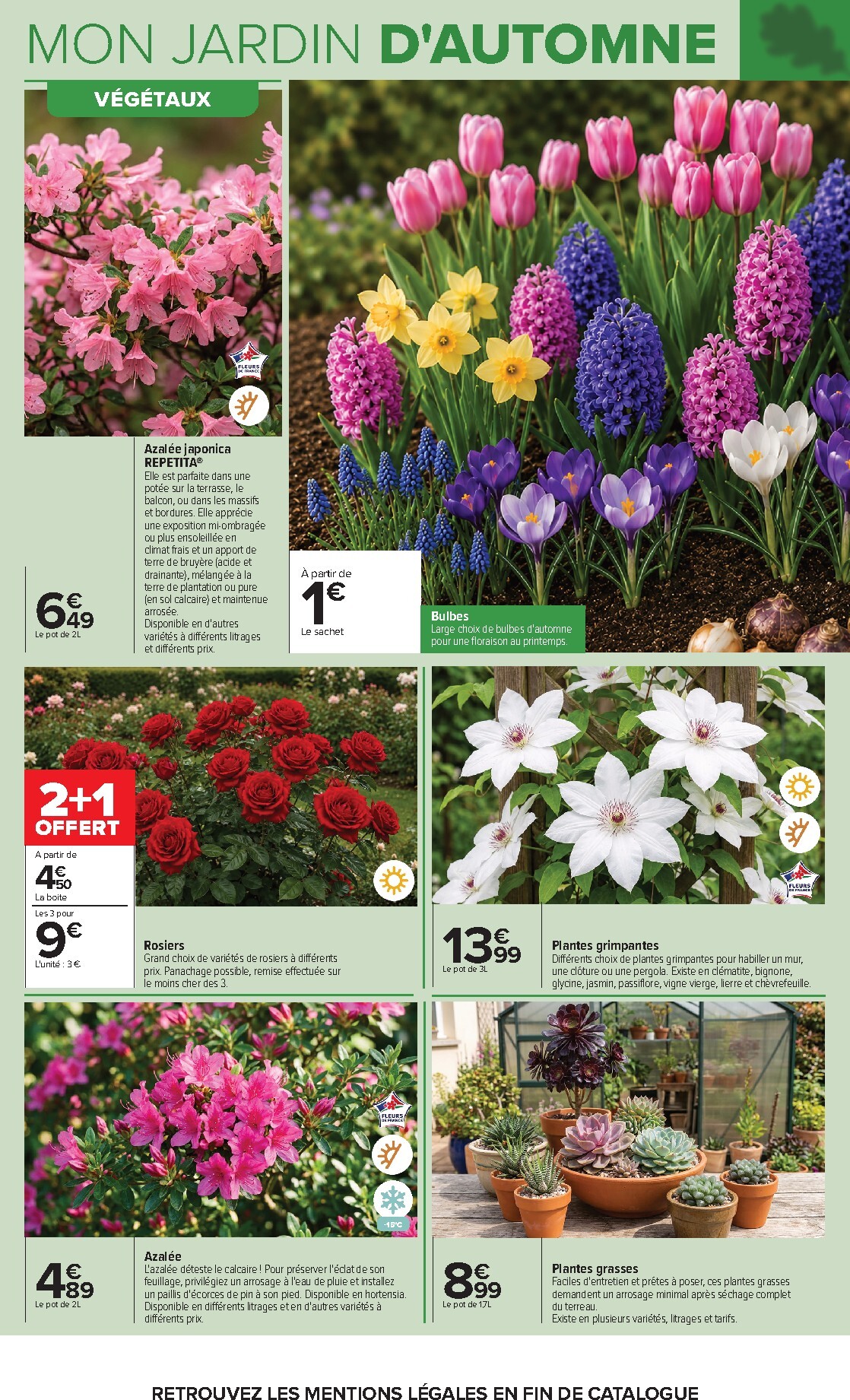 carrefour - Flyer Carrefour - Jardin Et Bricolage pour la semaine prochaine du du mardi 29/09/2026 au du lundi 12/10/2026 - page: 4