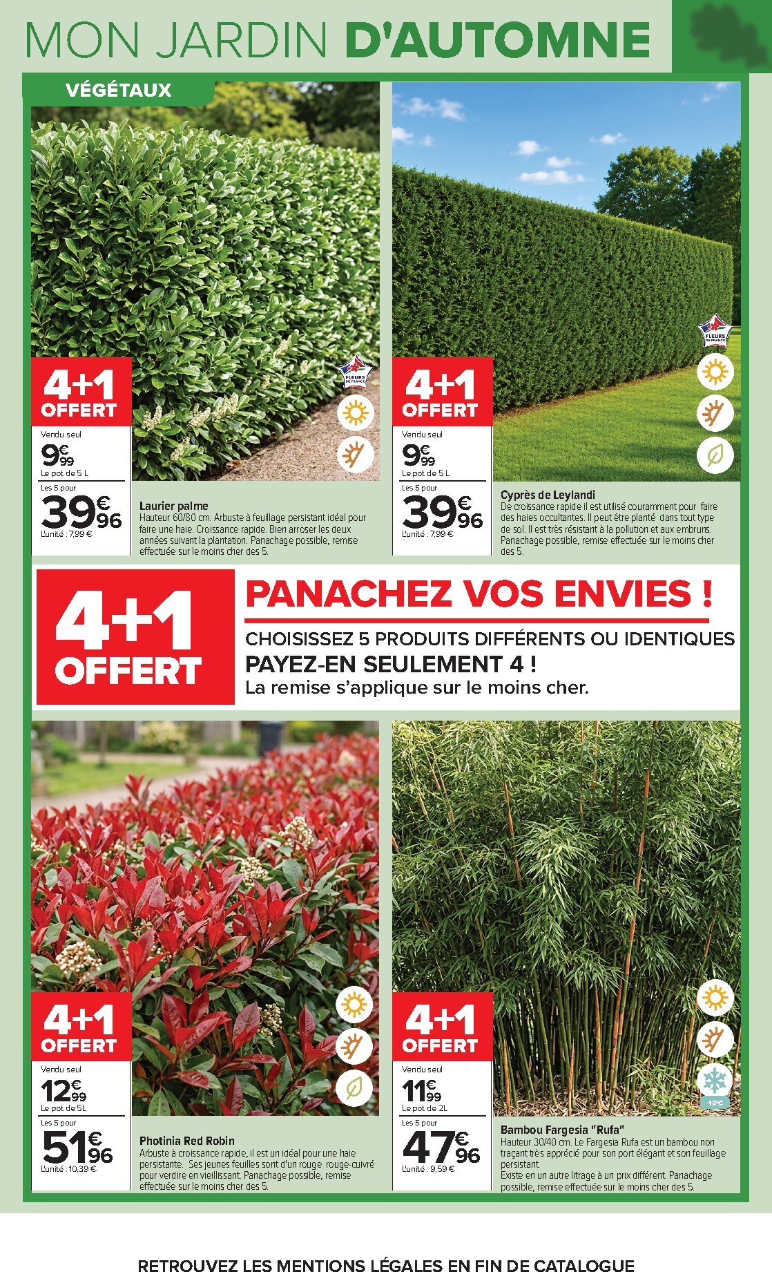 carrefour - Flyer Carrefour - Jardin Et Bricolage pour la semaine prochaine du du mardi 29/09/2026 au du lundi 12/10/2026 - page: 6