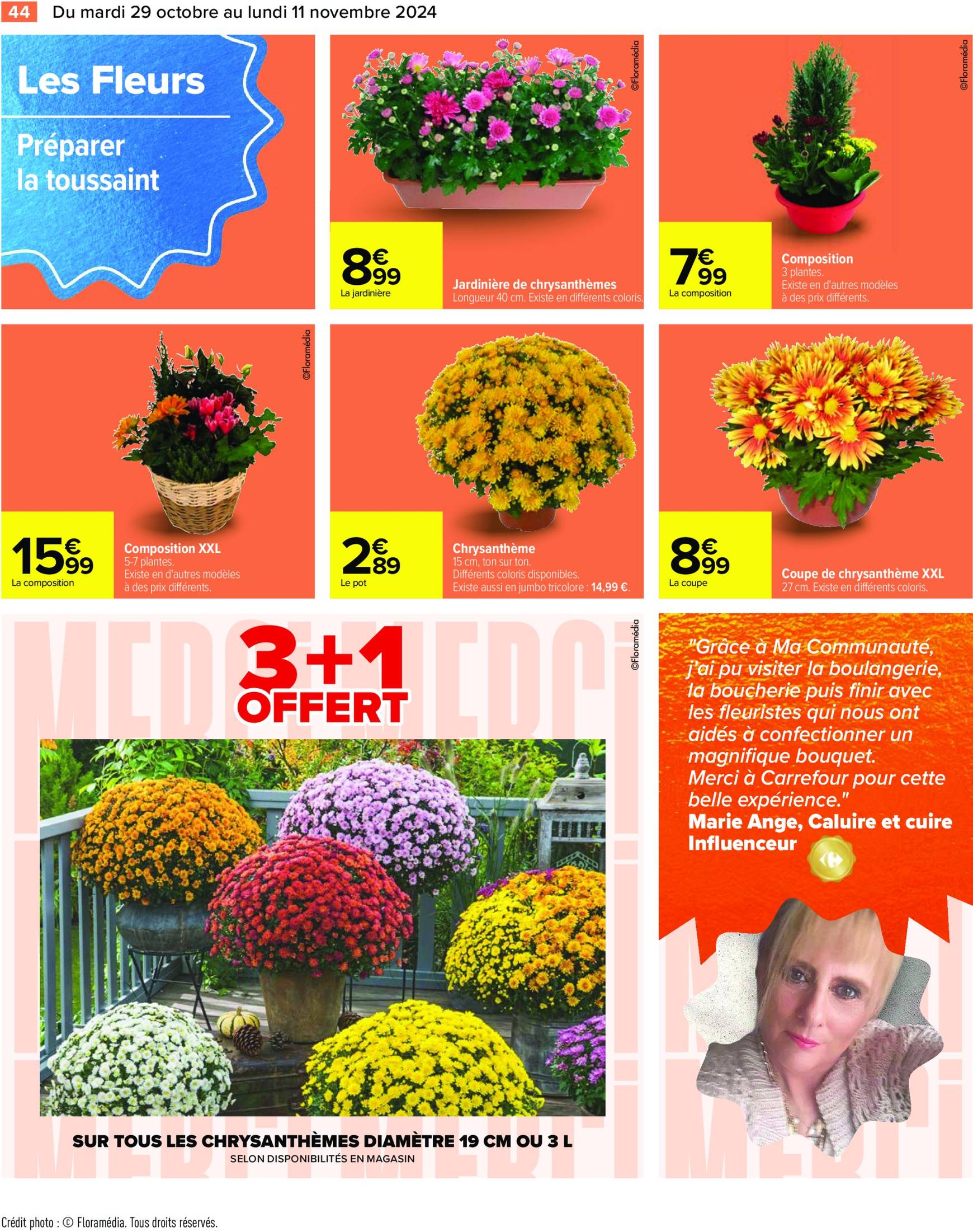 carrefour - Catalogue Carrefour valable dès 29.10. - 11.11. - page: 46