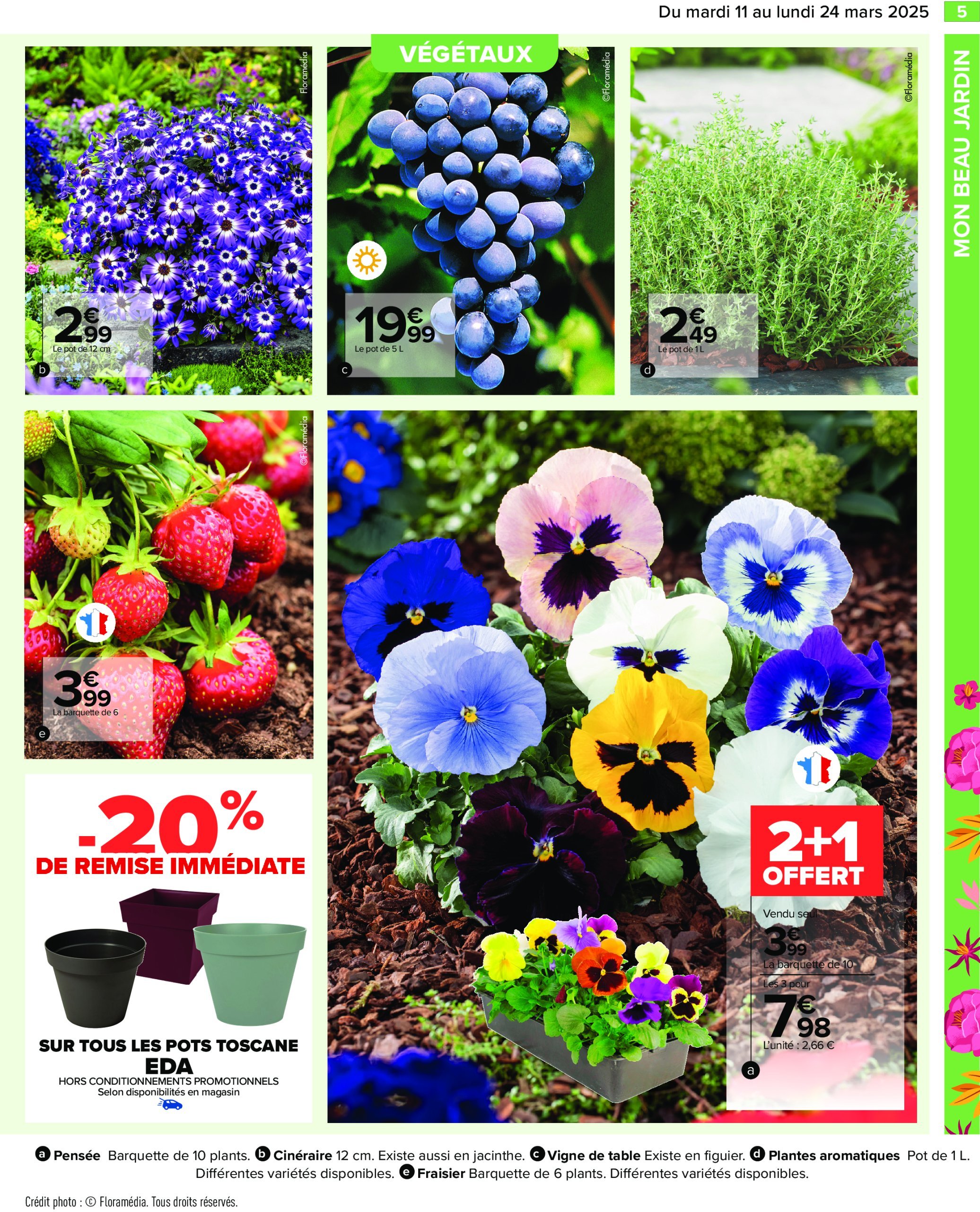 carrefour - Catalogue Carrefour - Jardin valable dès 11/03 - 24/03 - page: 7