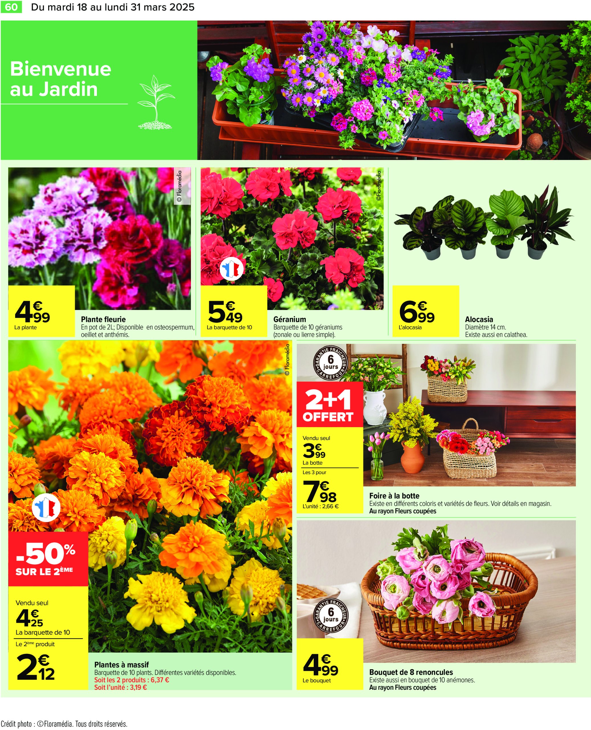 carrefour - Catalogue Carrefour valable dès 18/03 - 31/03 - page: 62 carrefour - Catalogue Carrefour valable dès 18/03 - 31/03 - page: 62