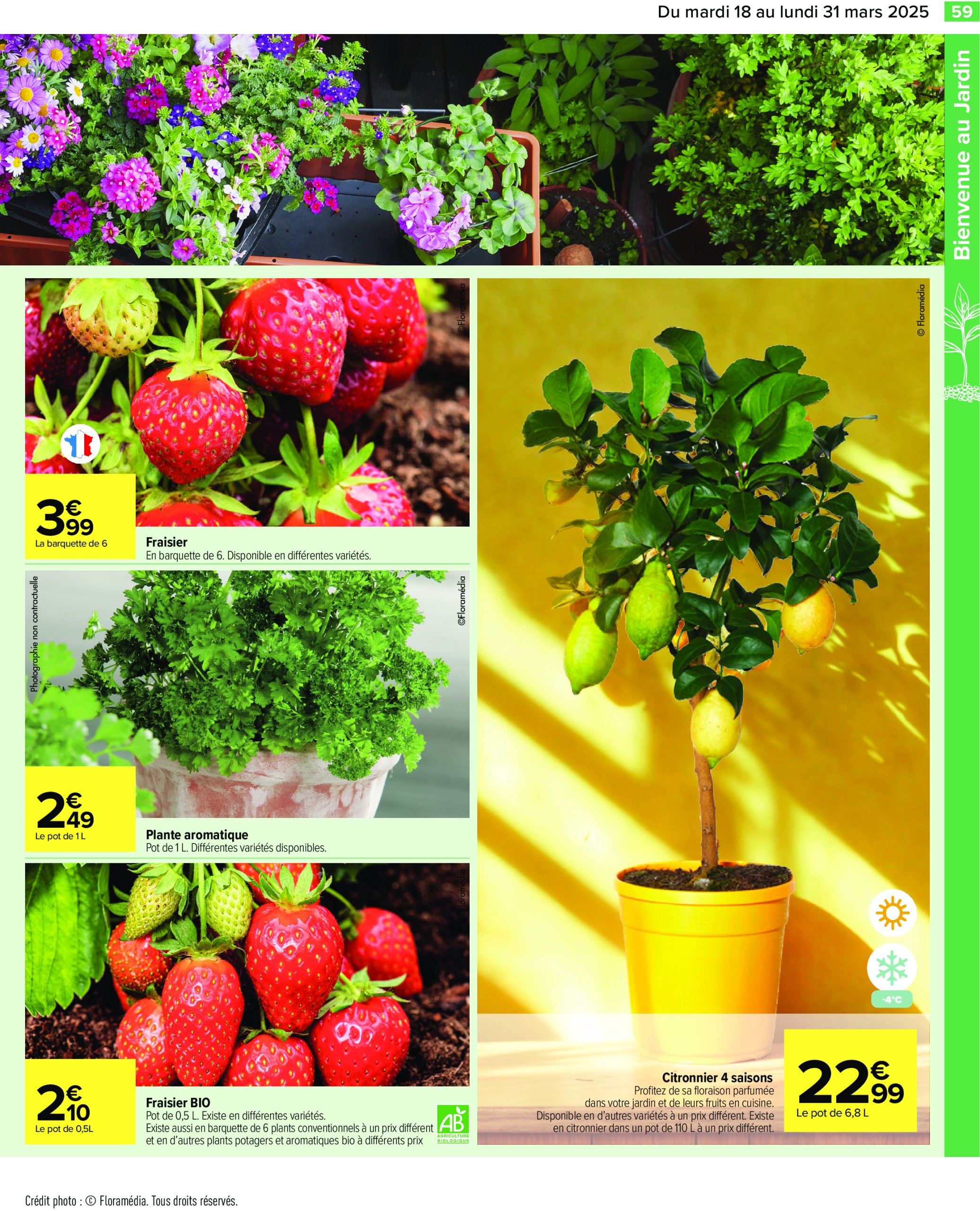 carrefour - Catalogue Carrefour valable dès 18/03 - 31/03 - page: 61 carrefour - Catalogue Carrefour valable dès 18/03 - 31/03 - page: 61