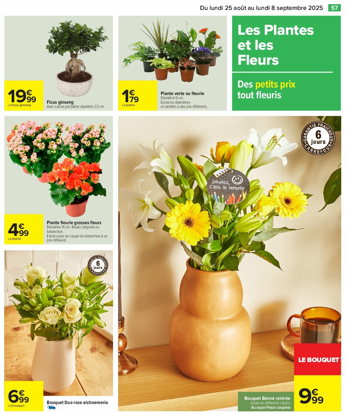 carrefour - Catalogue Carrefour valable du 25/08 au 08/09 - page: 59 carrefour - Catalogue Carrefour valable du 25/08 au 08/09 - page: 59