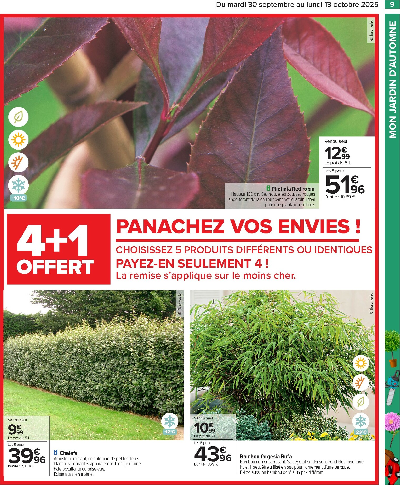 carrefour - Catalogue Carrefour - Preparez l'automne valable du 30/09 au 13/10 - page: 11 carrefour - Catalogue Carrefour - Preparez l'automne valable du 30/09 au 13/10 - page: 11