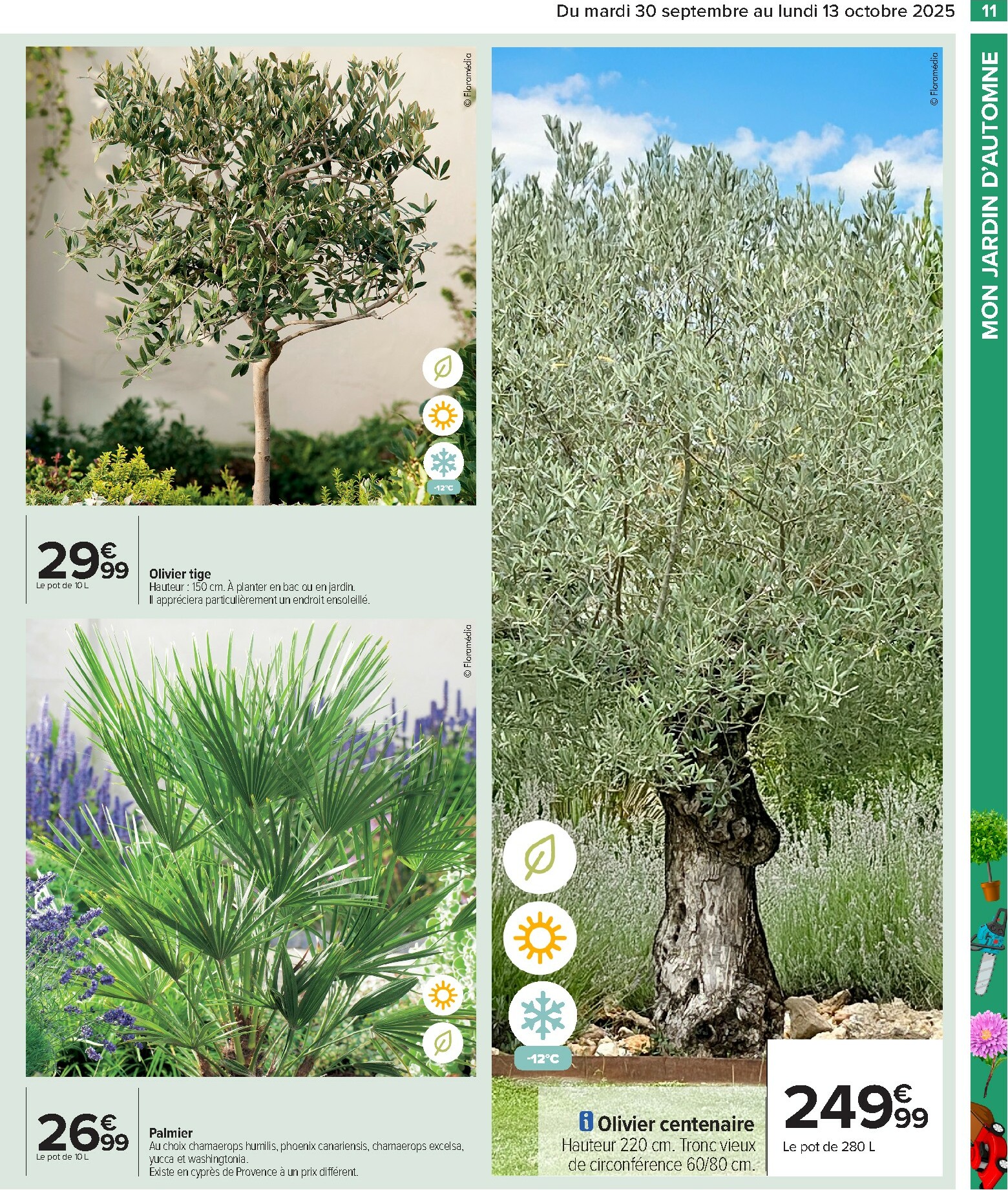 carrefour - Catalogue Carrefour - Preparez l'automne valable du 30/09 au 13/10 - page: 13 carrefour - Catalogue Carrefour - Preparez l'automne valable du 30/09 au 13/10 - page: 13