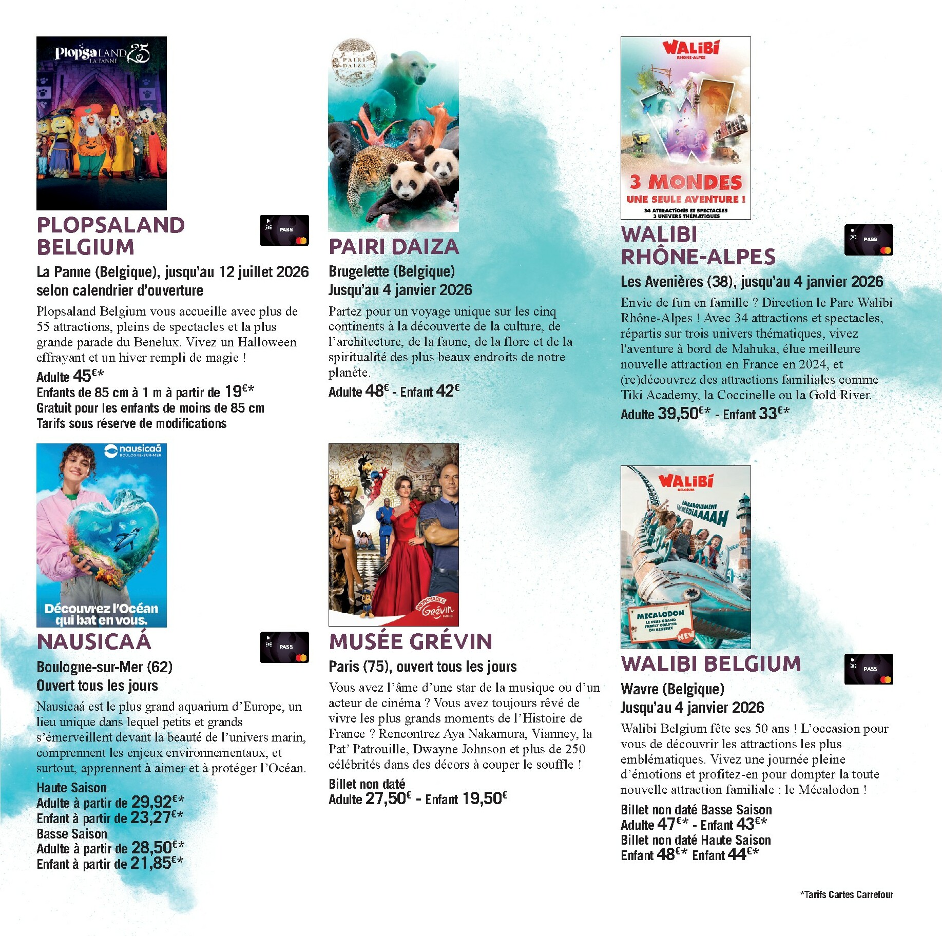 carrefour - Catalogue Carrefour - Le Book de vos Sorties valable du 01/10 au 08/03 - page: 15