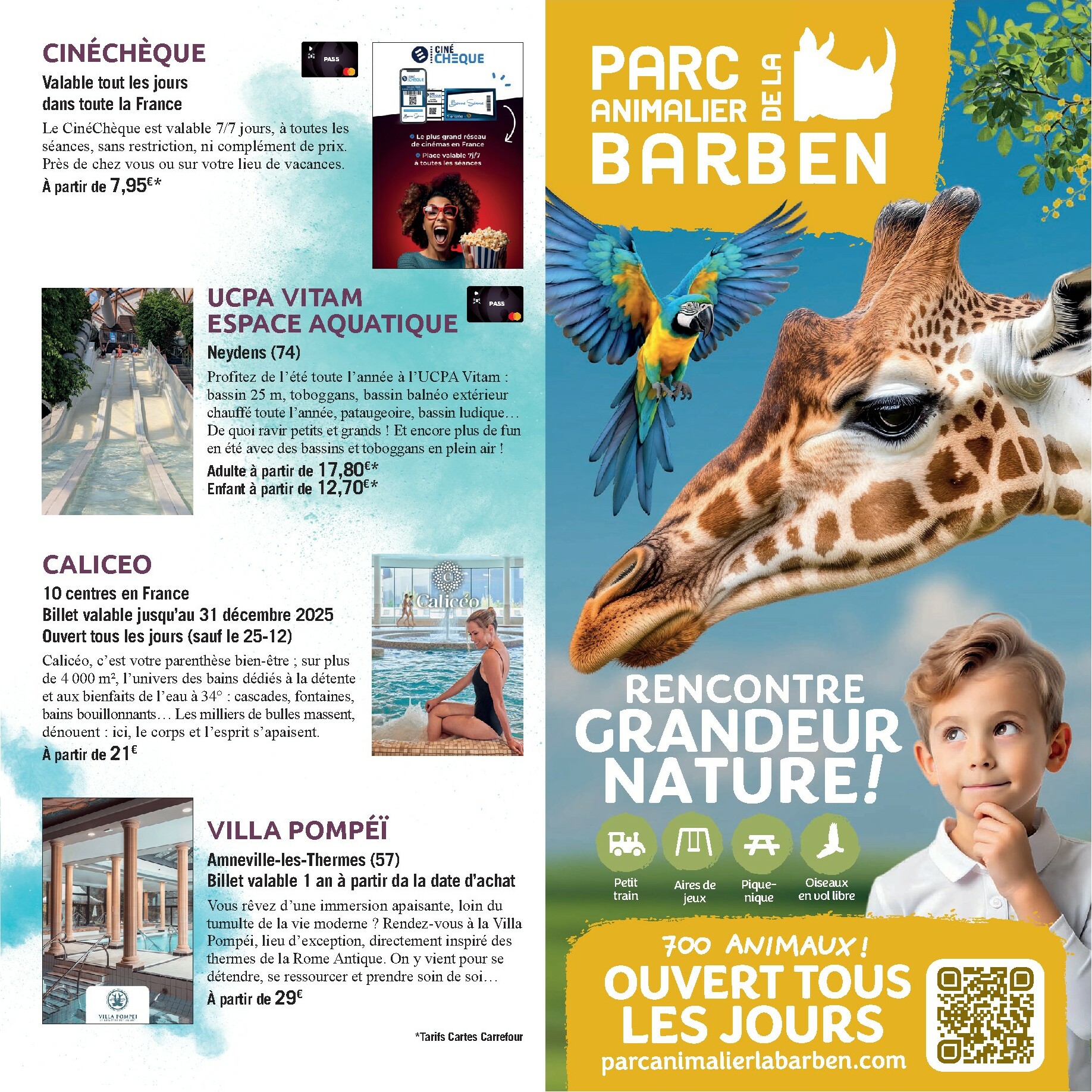 carrefour - Catalogue Carrefour - Le Book de vos Sorties valable du 01/10 au 08/03 - page: 17